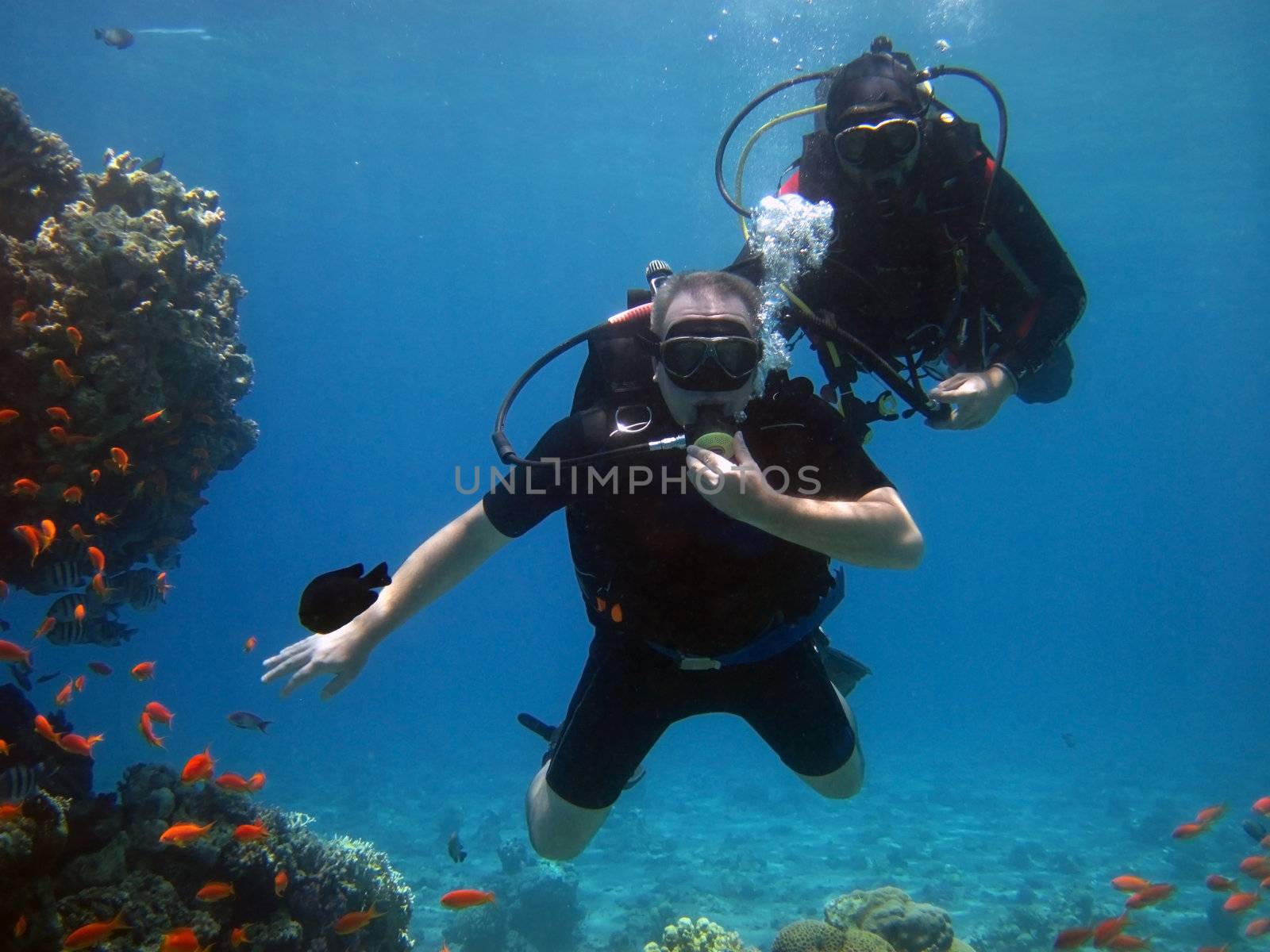 two adult scuba divers in the Red Sea