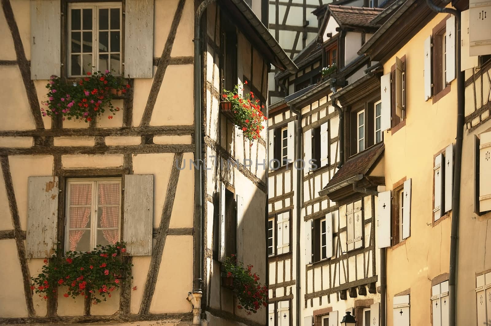 urban landscape of the historical town of Colmar in France