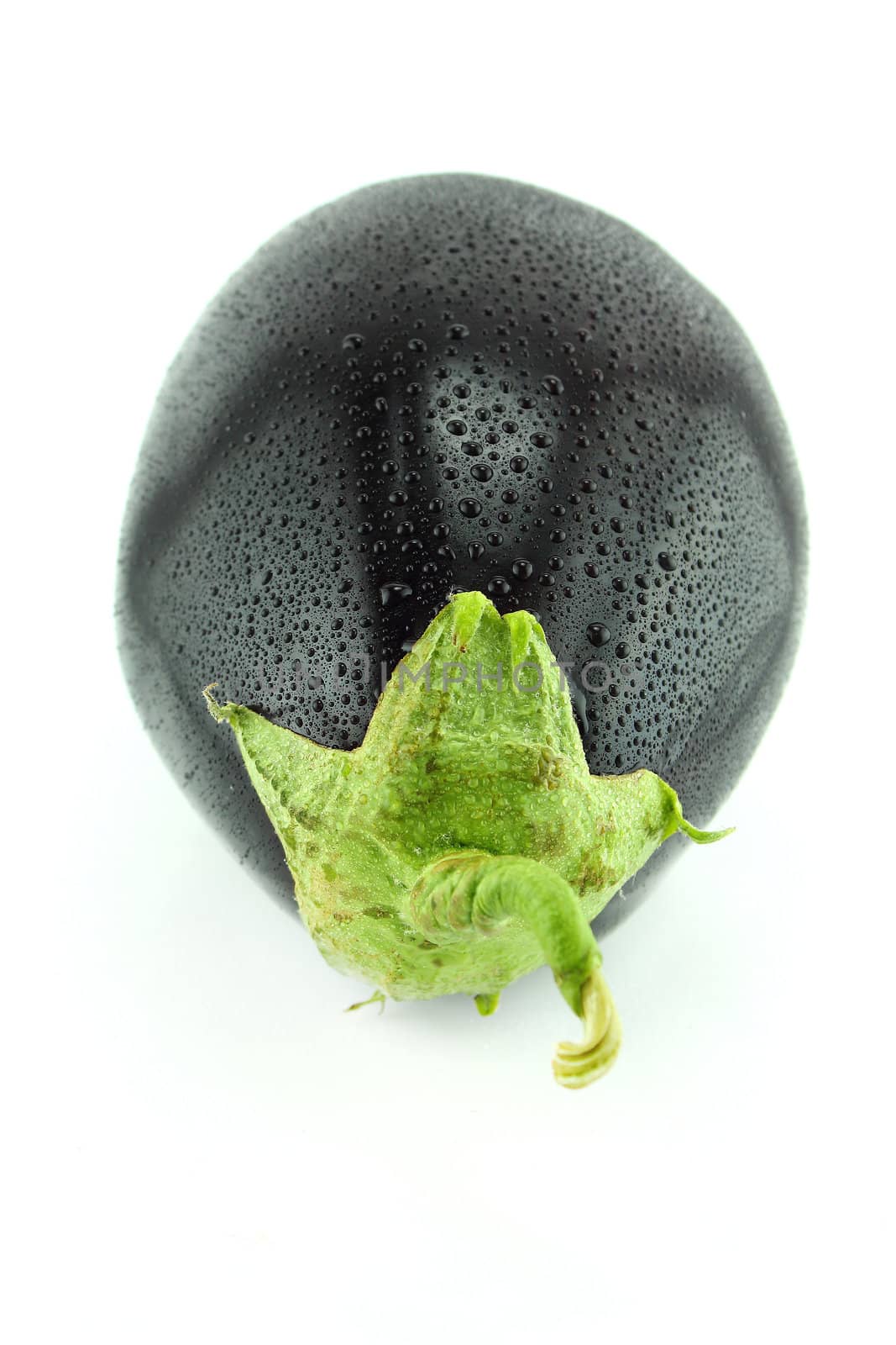 fresh eggplant vegetable with water drops on white background .