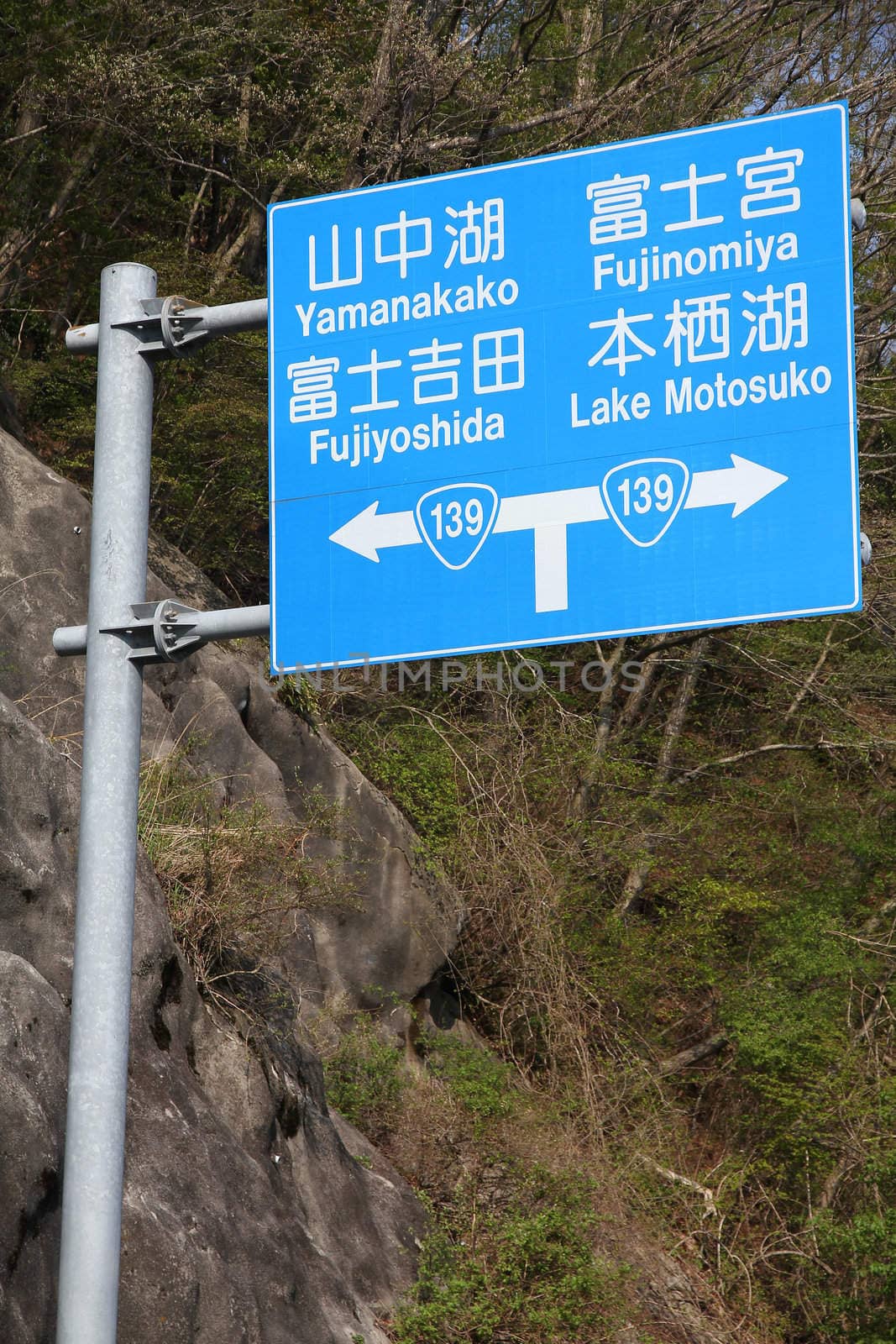 Road directions in Japan by tupungato