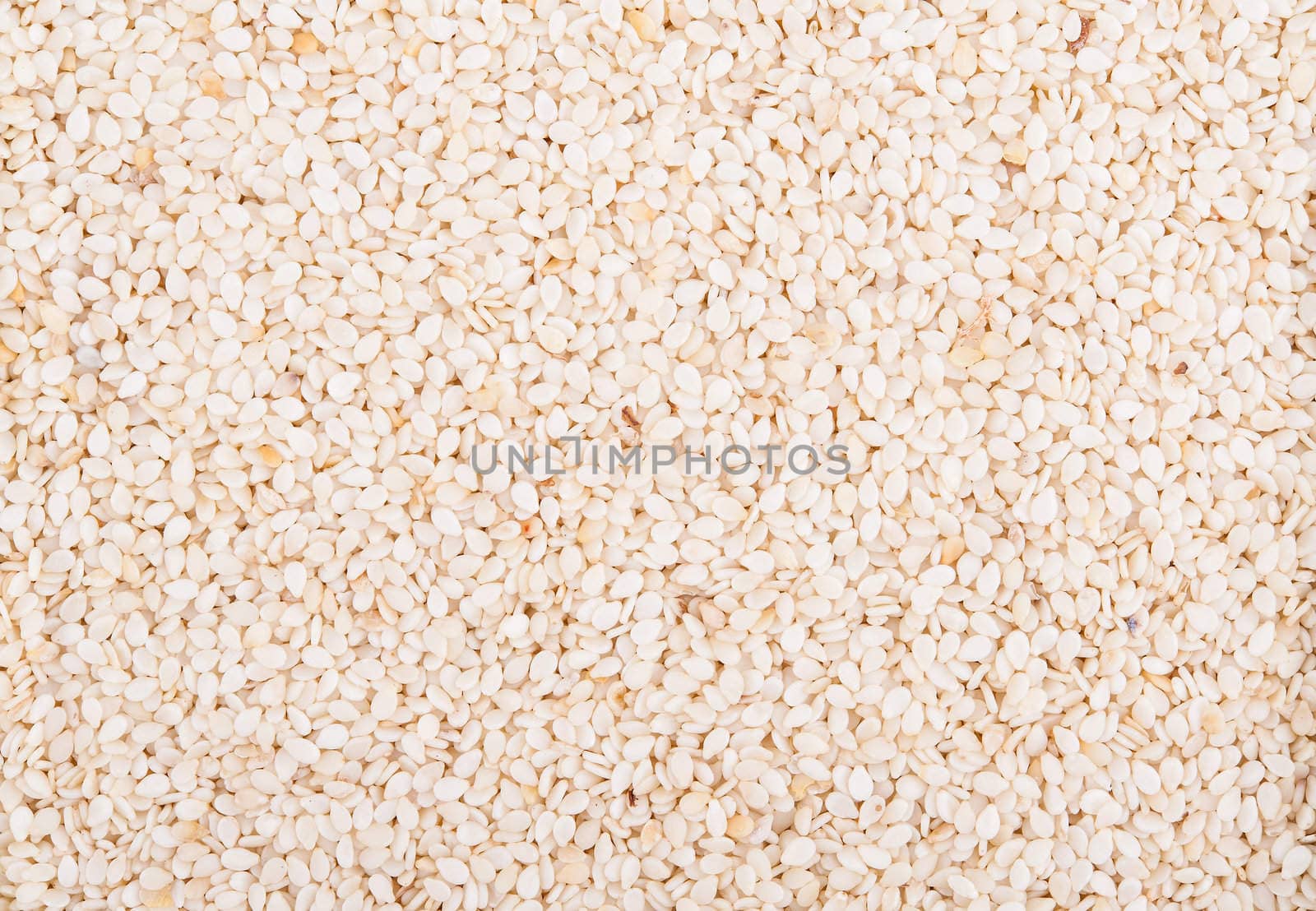 Sesame dry seeds background with detail closeup