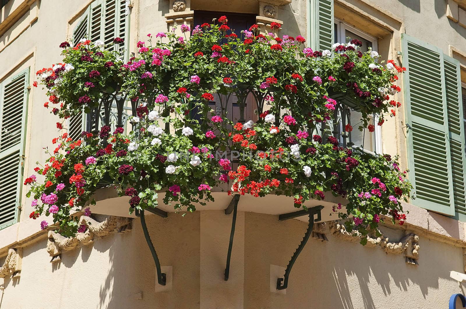 Flowers in the city of Colmar France