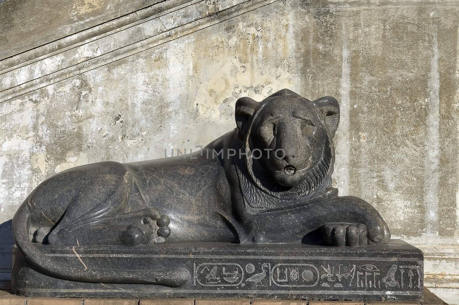 statue of a lion made ​​of black marble, lying on a stone slab, covered with writing Egyptian hieroglyphs in Vatican Museum