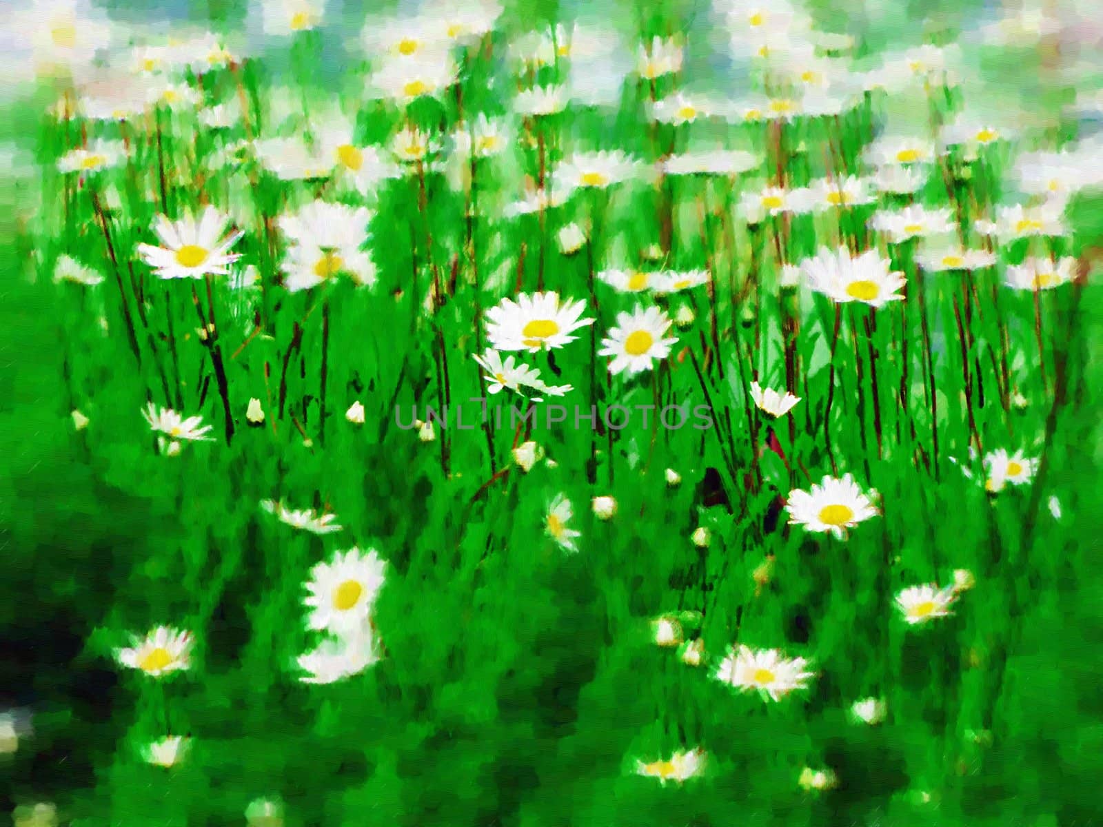 Abstract Illustration of flowers