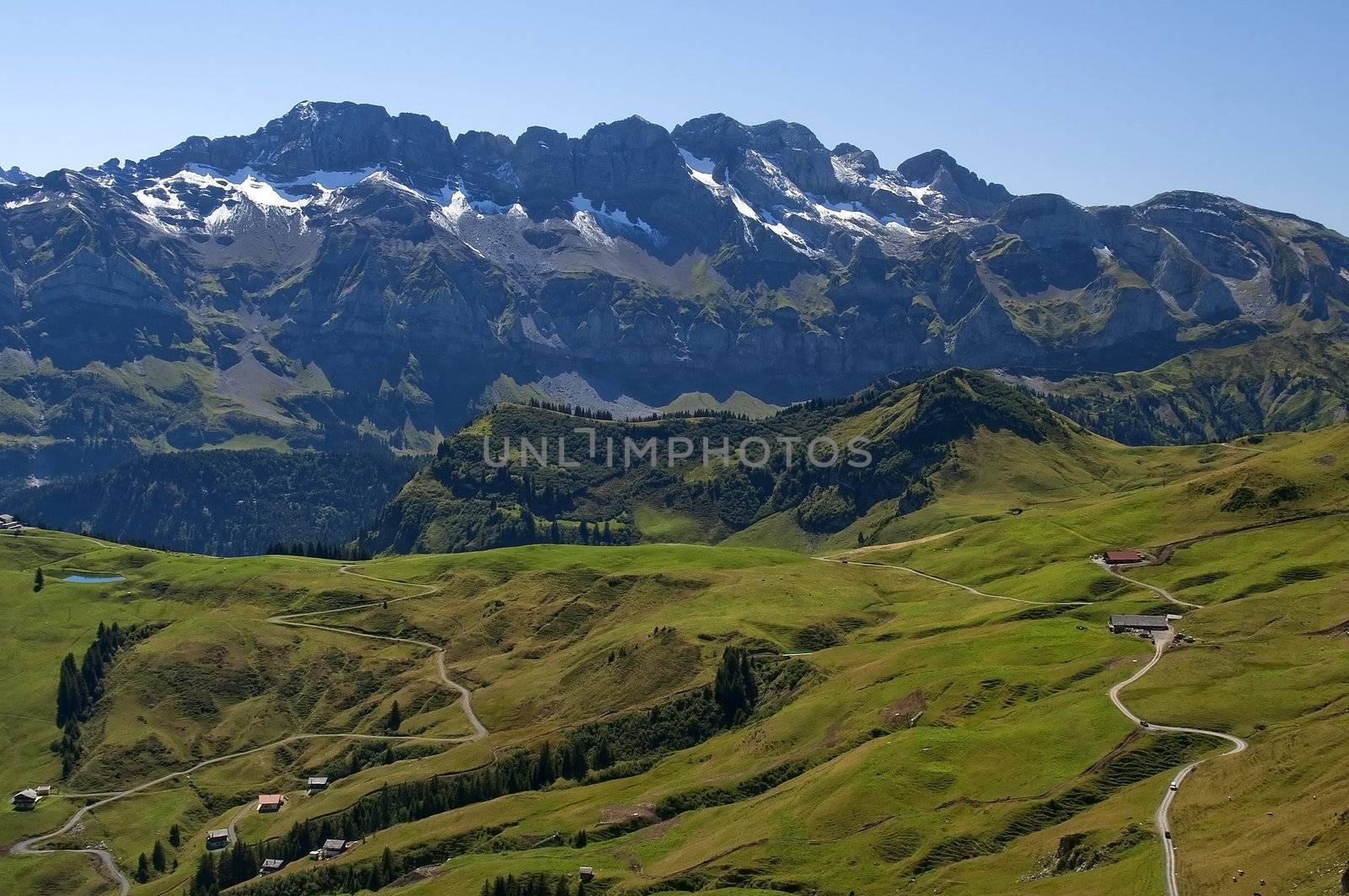 alpine meadows by irisphoto4