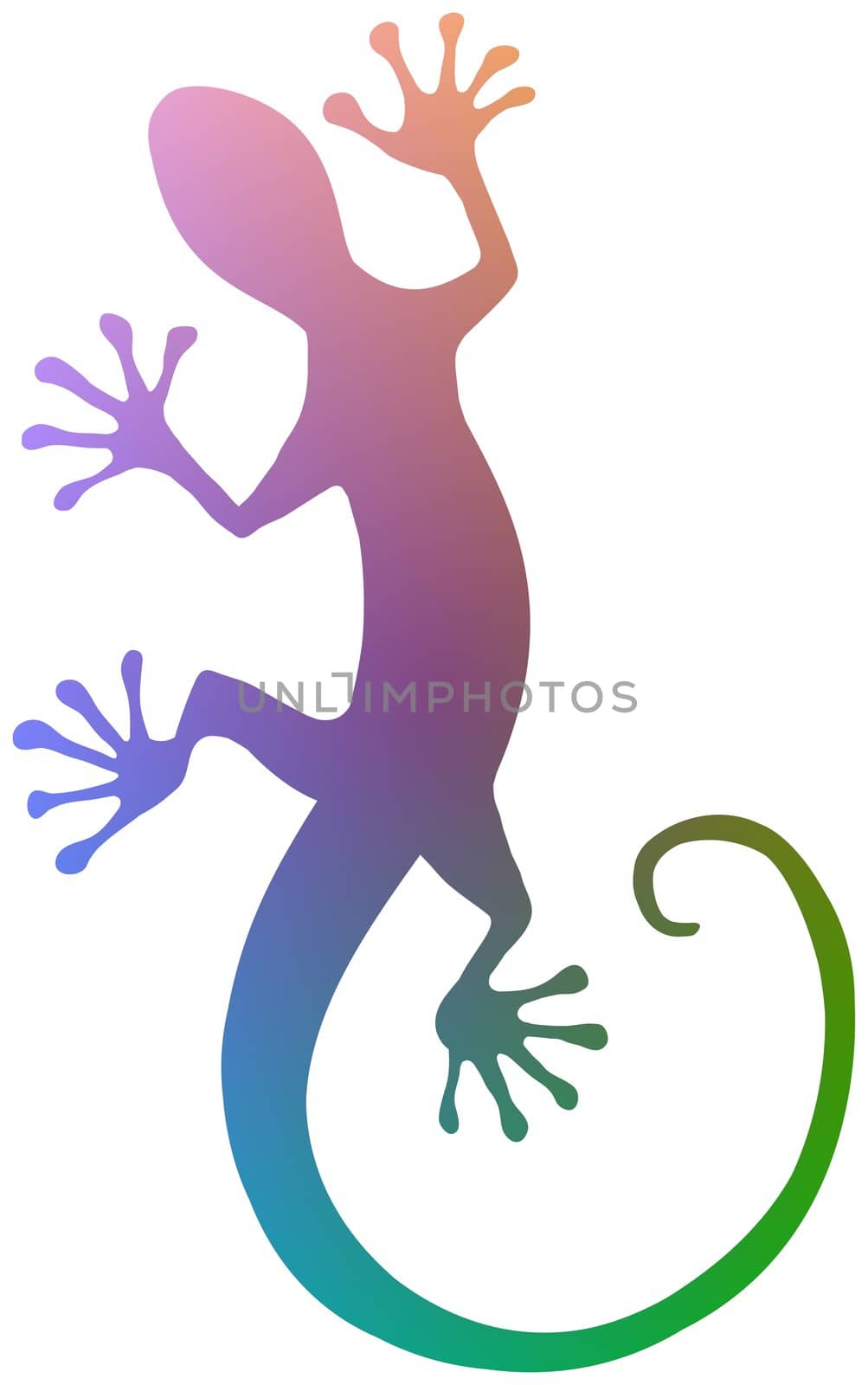 Illustration of a colourful isolated Gecko