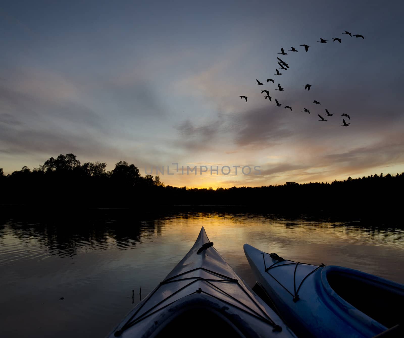 Two kayaks at sunset with the geese coming to land on the bay area of Charleston Lake