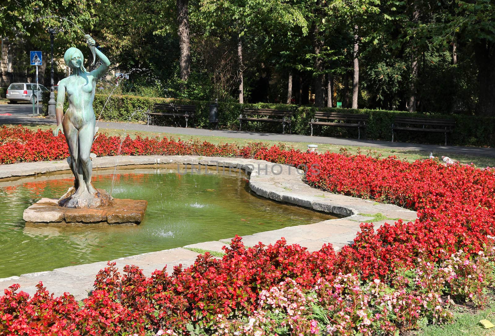 Novi Sad, Serbia - city in the region of Vojvodina. Flowers and fountain in the park.