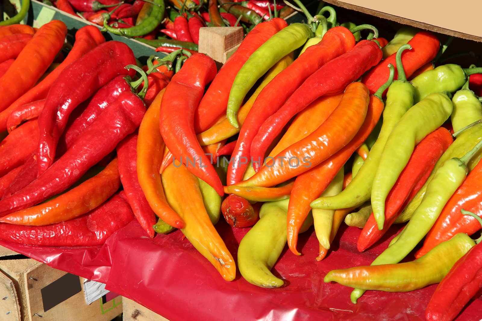 Colorful peppers at a fruit and vegetable market in Brasov, Romania