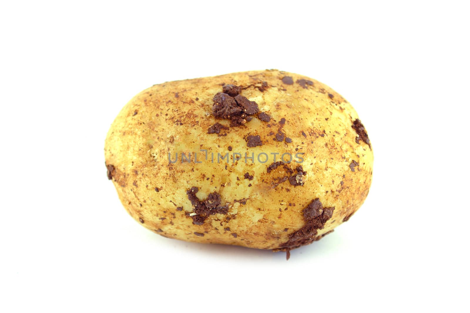 potatoes on the white background