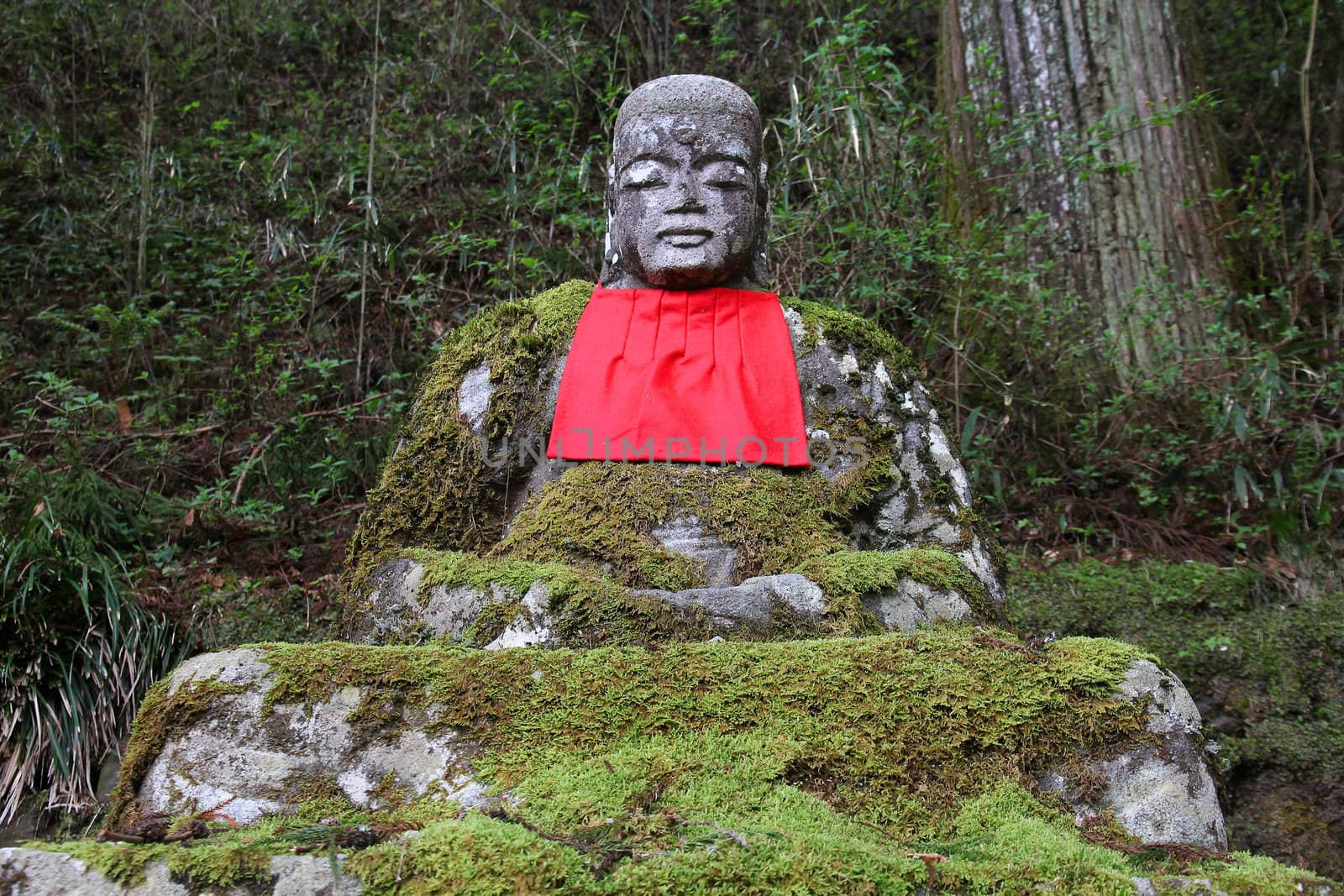 Nikko, Japan - jizo statue at famous Kanmangafuchi. Jizo, also known as Ksitigarbha are bodhisattvas in East Asian Buddhism.