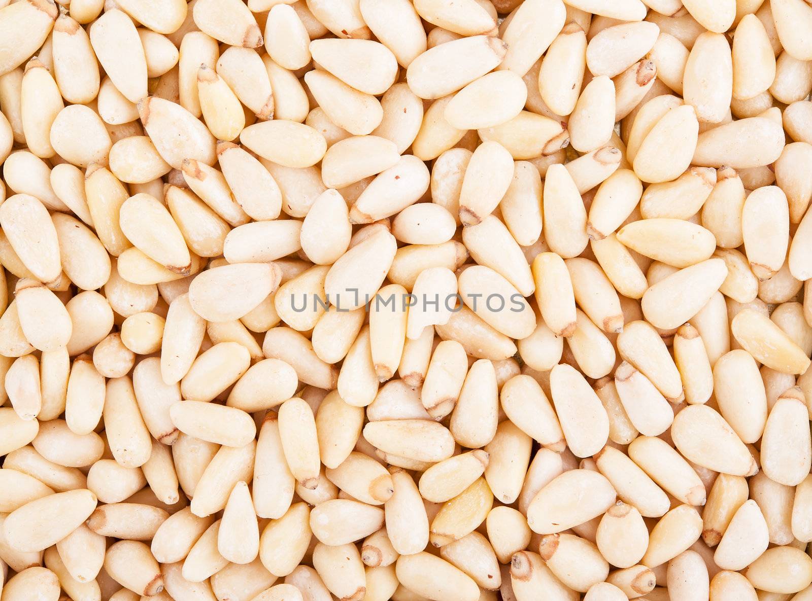 Pine nuts dry background with detail closeup