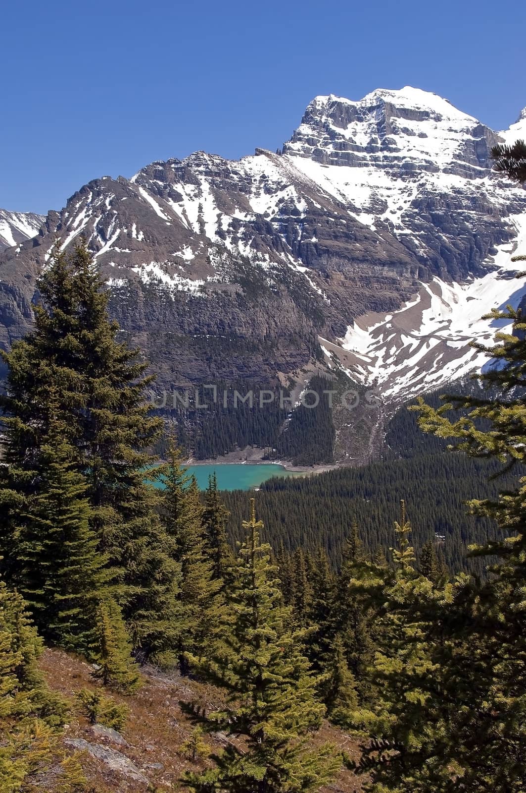 mountain lake in Canada by irisphoto4