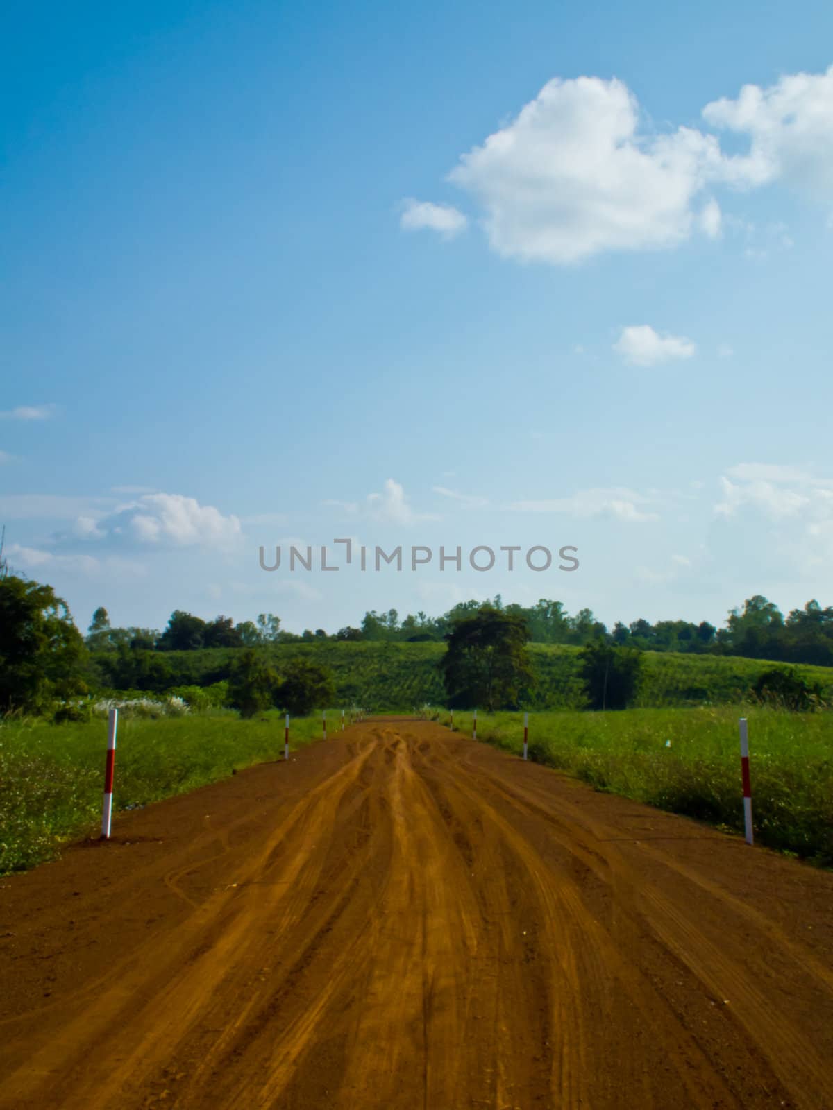 This is road to farm and blue sky background