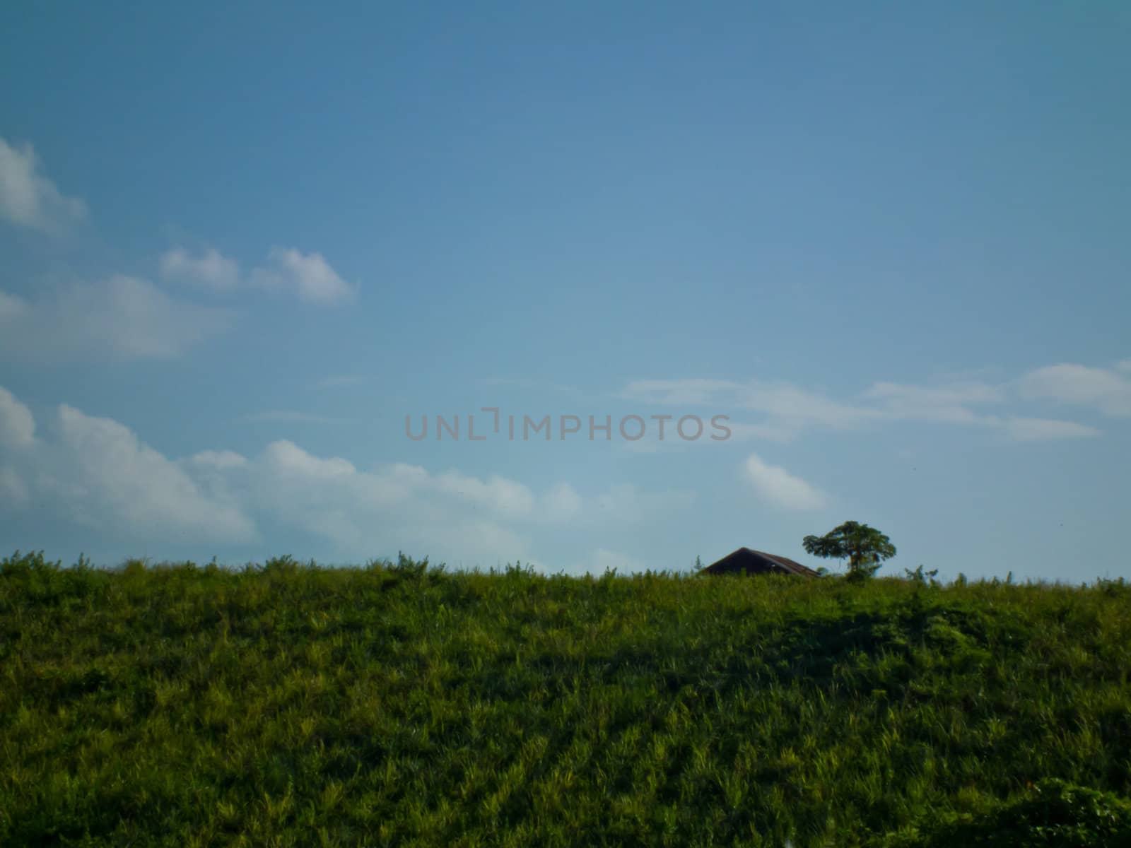 this is cottage in farm have a bluesky backcround