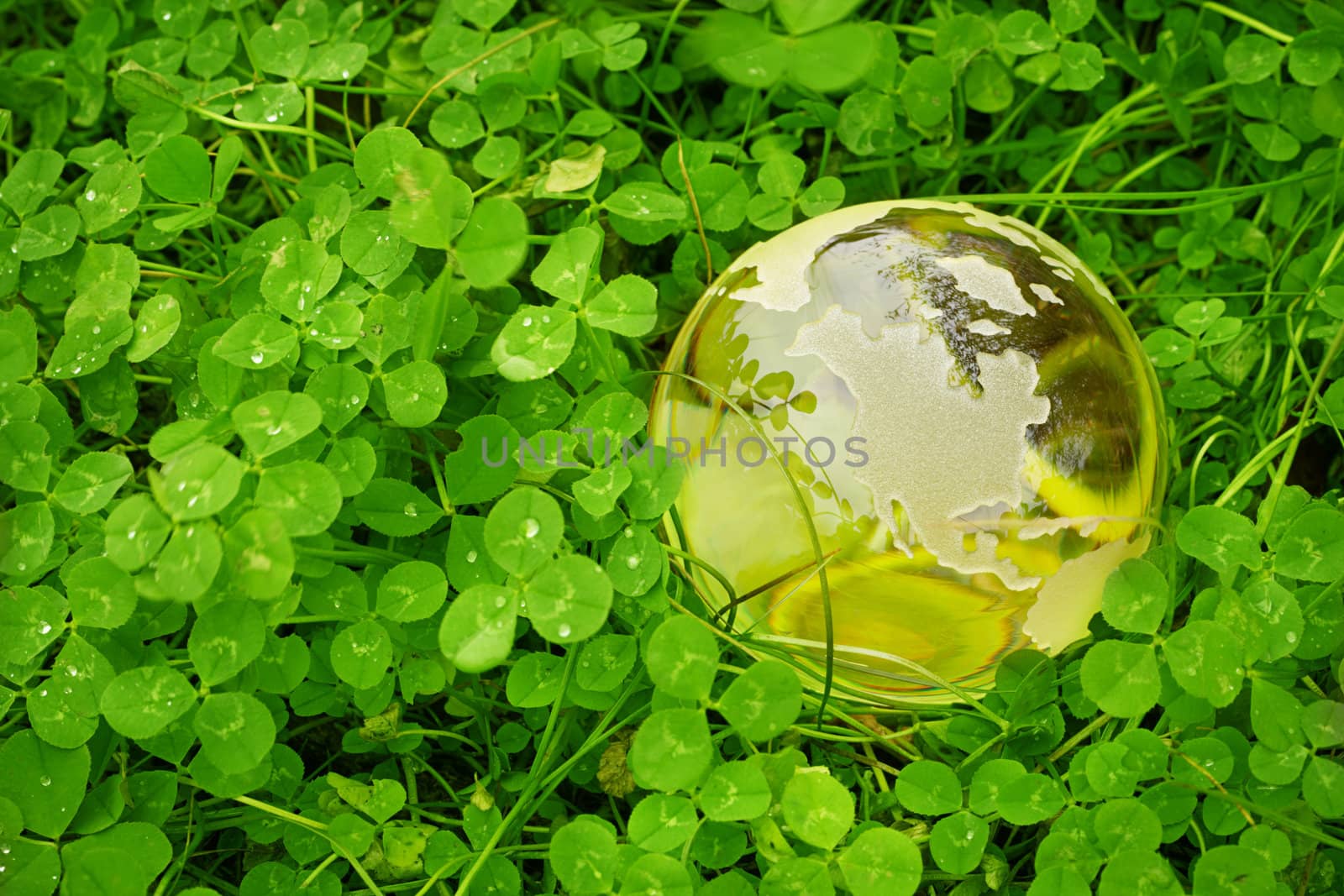 glass globe on fresh foliage background, toned f/x and selective focus