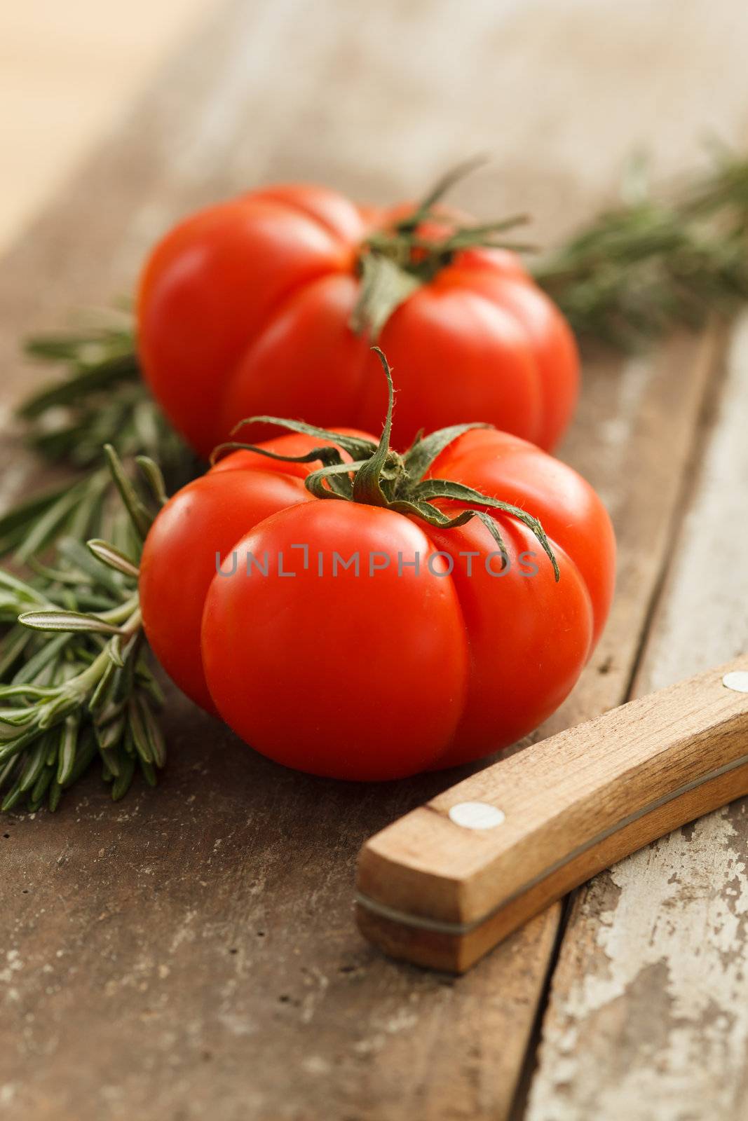 fresh tomatoes by shebeko