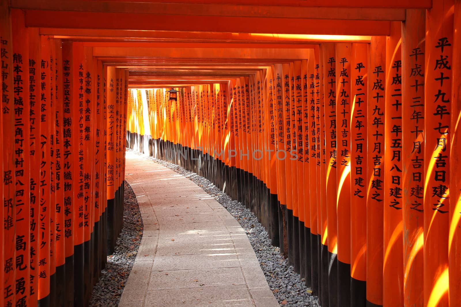 Fushimi Inari Taisha shrine in Kyoto prefecture of Japan. Famous shinto shrine with thousands of vermilion torii gates.