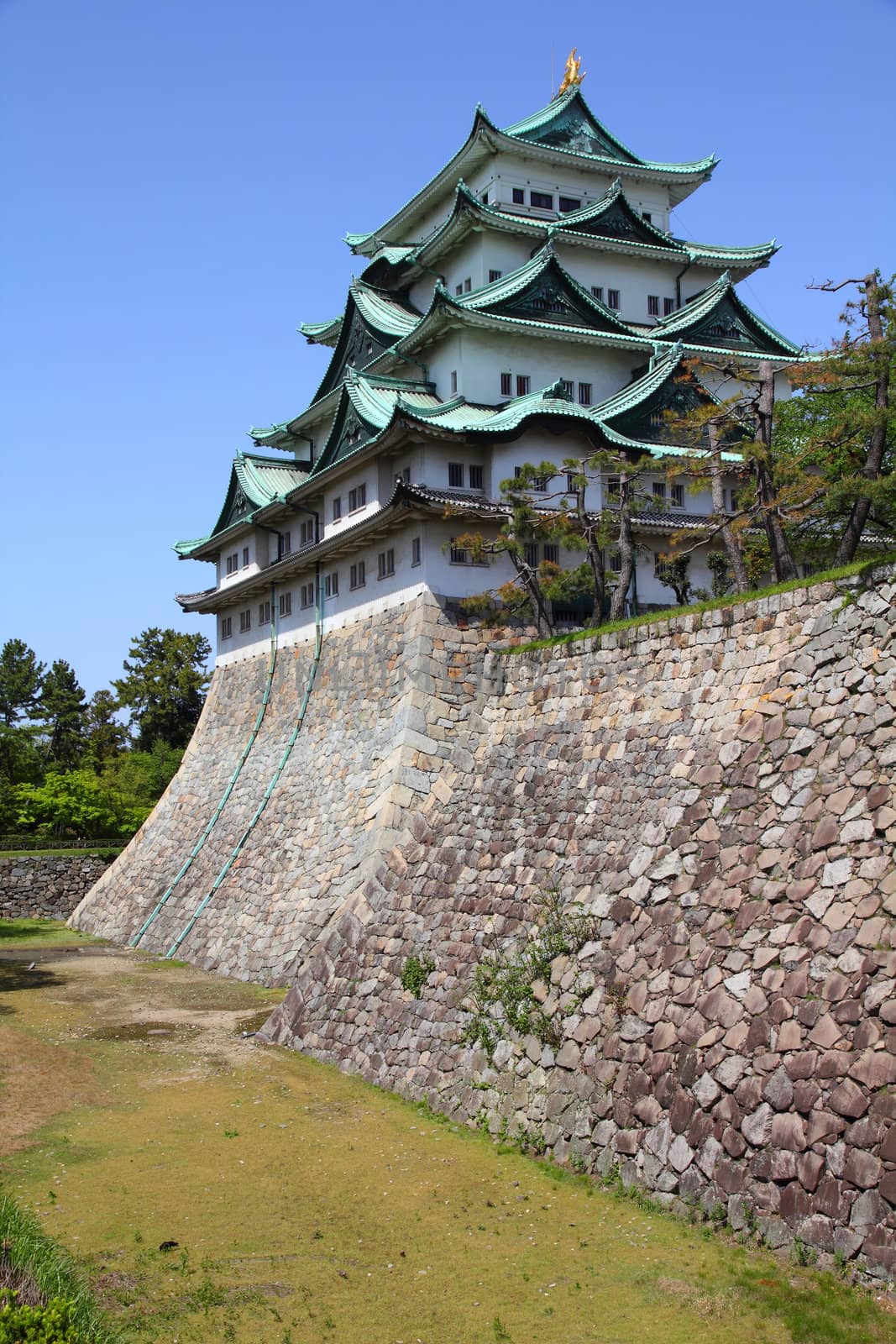 Nagoya, Japan - city in the region of Chubu in Aichi prefecture. Nagoya-jo castle.