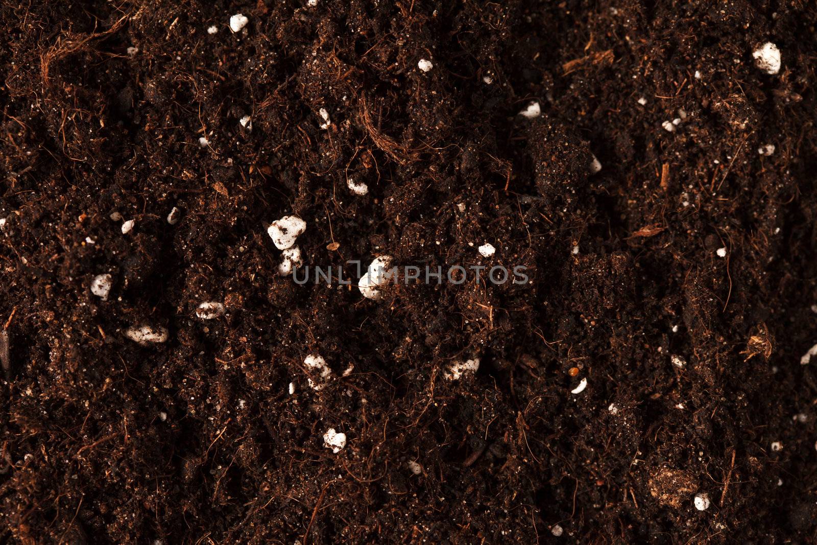 Soil on the white by shebeko