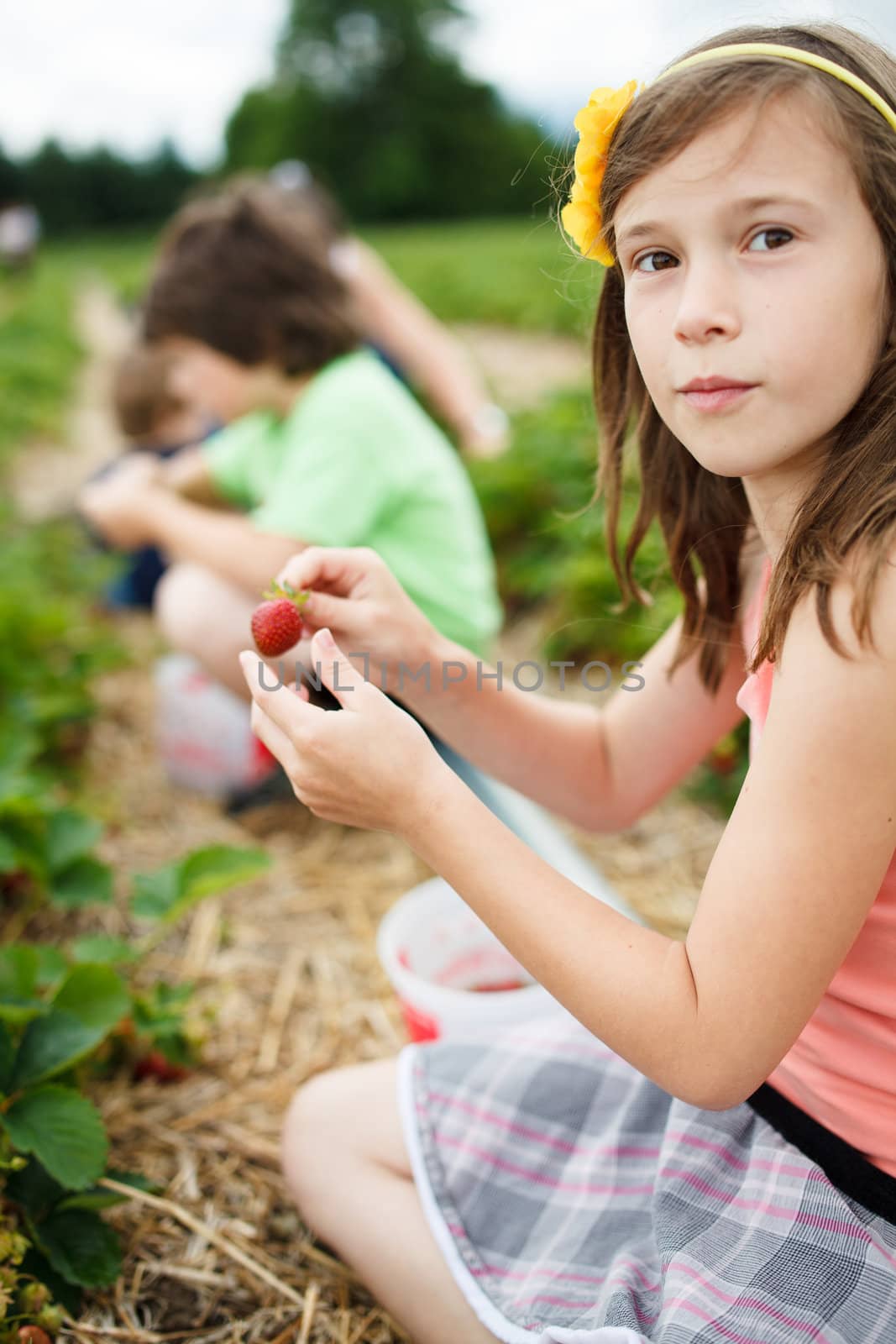 Girl picking strawberries by Talanis
