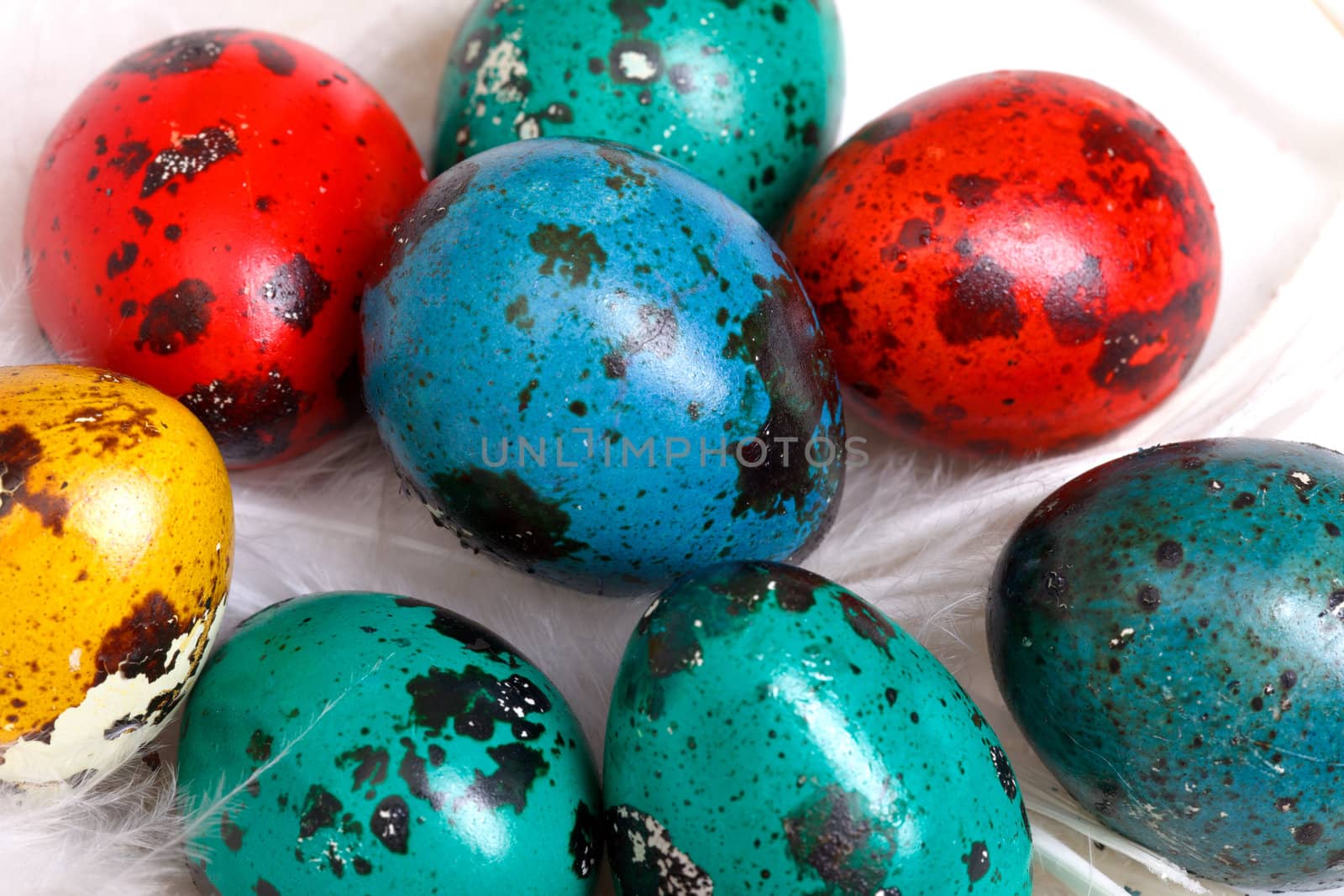 quail easter eggs by Discovod