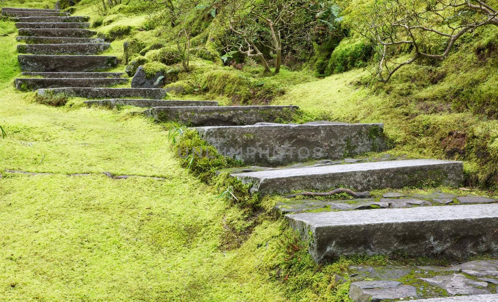 Asian Garden Flat Stone staircase and surrounding green grass and trees