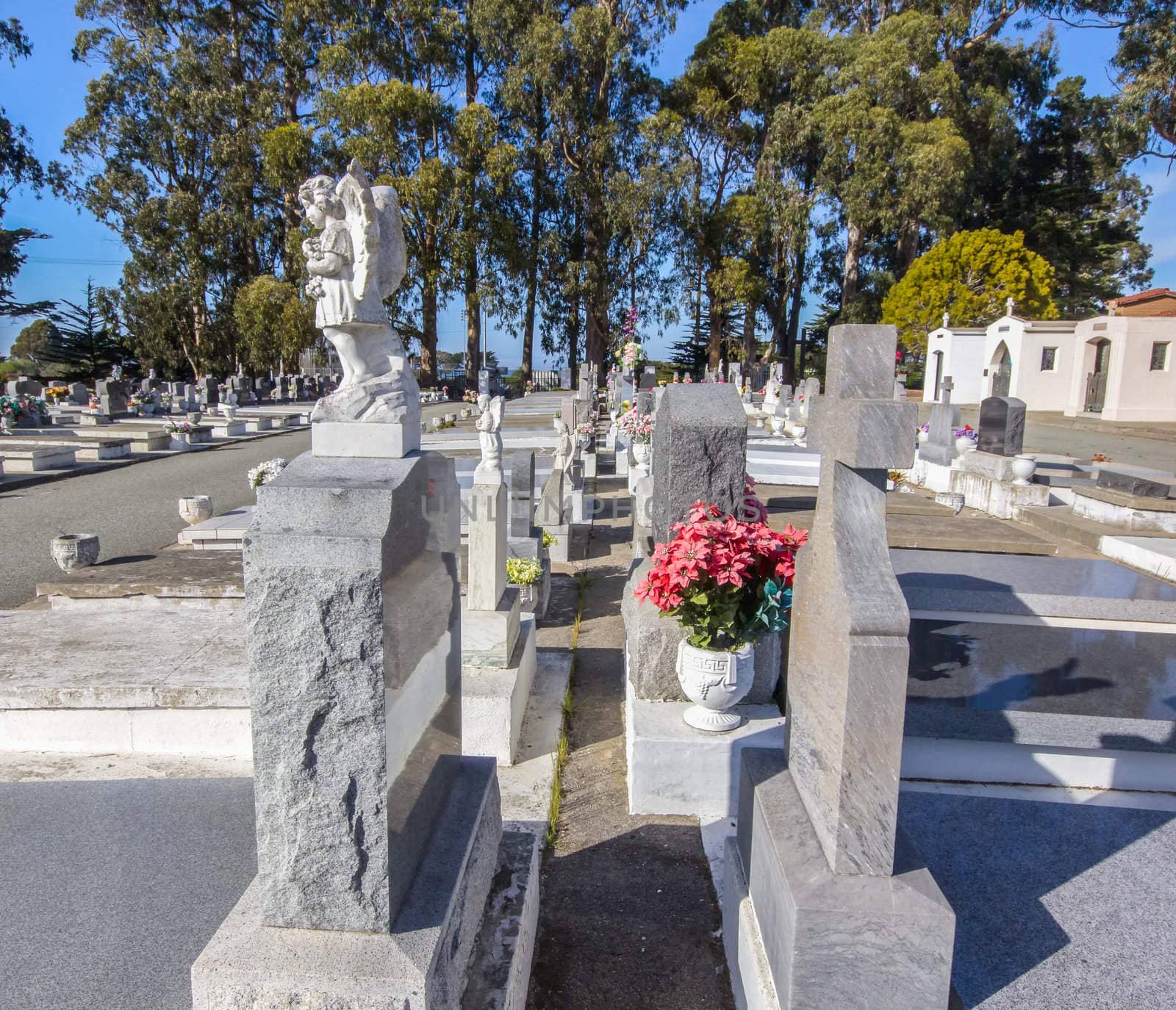 Lines of Grave Markers at San Carlos Cemetery.