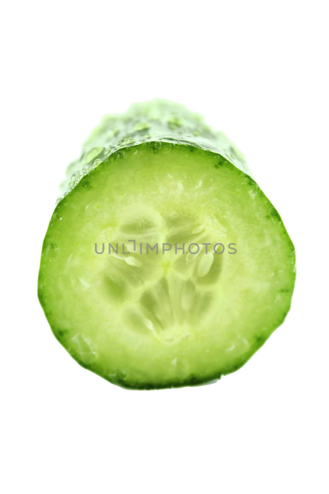 Fresh Cucumber by designsstock