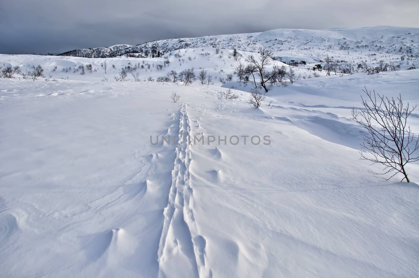 Ski track in the mountains by GryT
