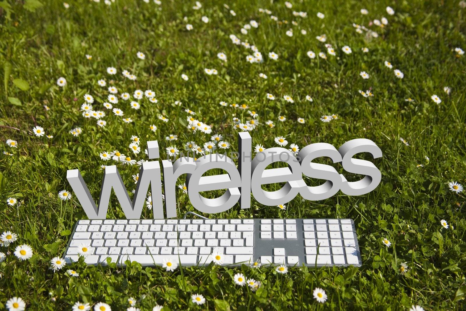 Wireless text and modern keyboard on green grass in garden