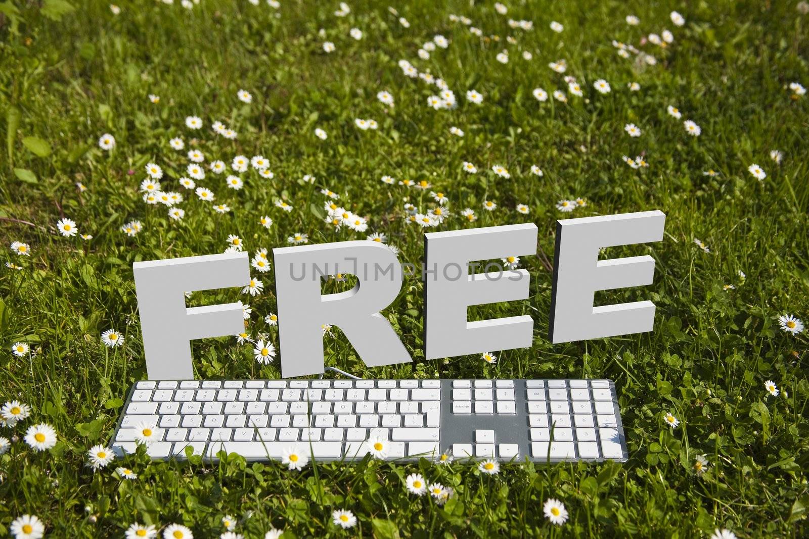 FREE text and modern keyboard on green grass in garden, concept
