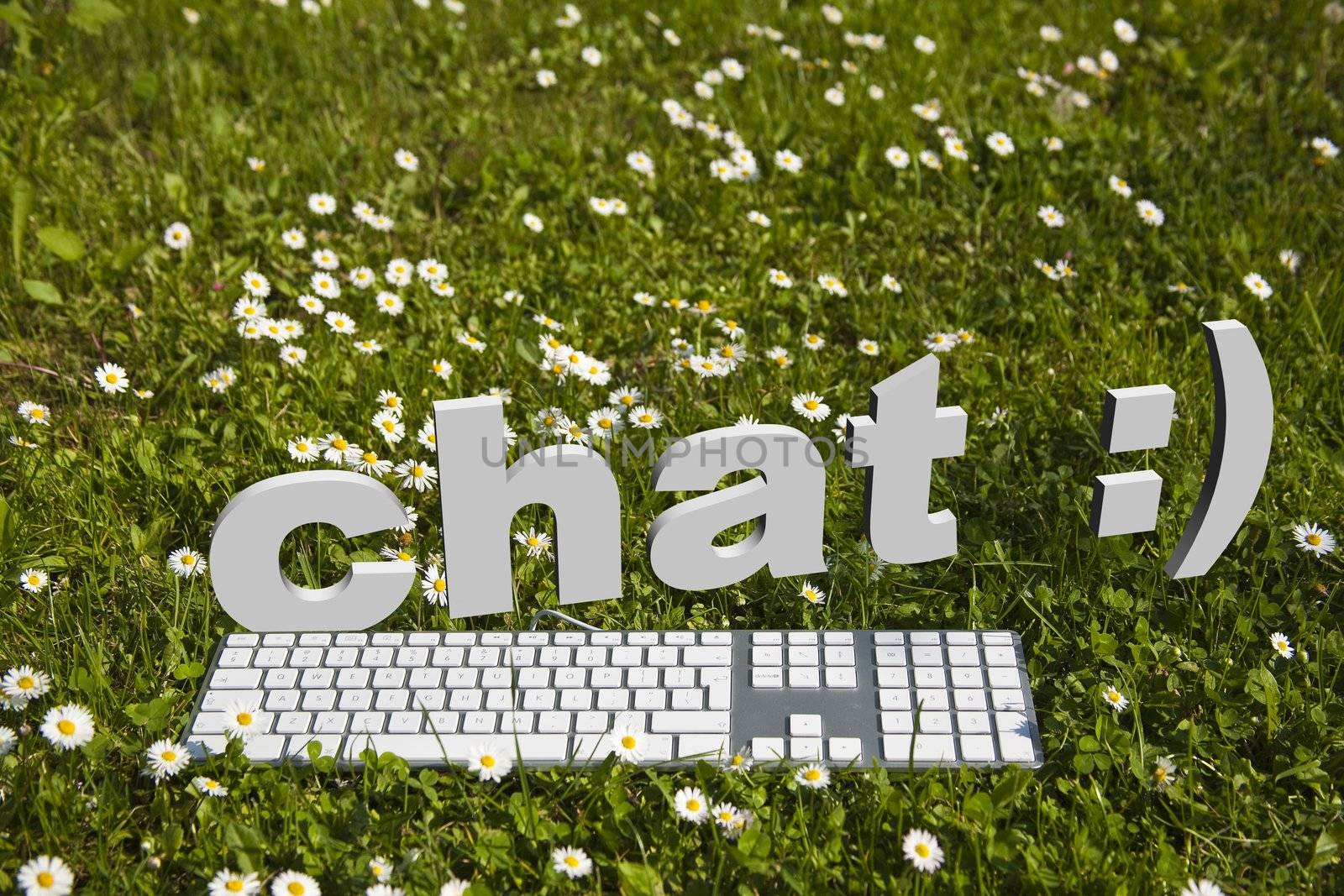 Chat and modern keyboard on green grass in garden