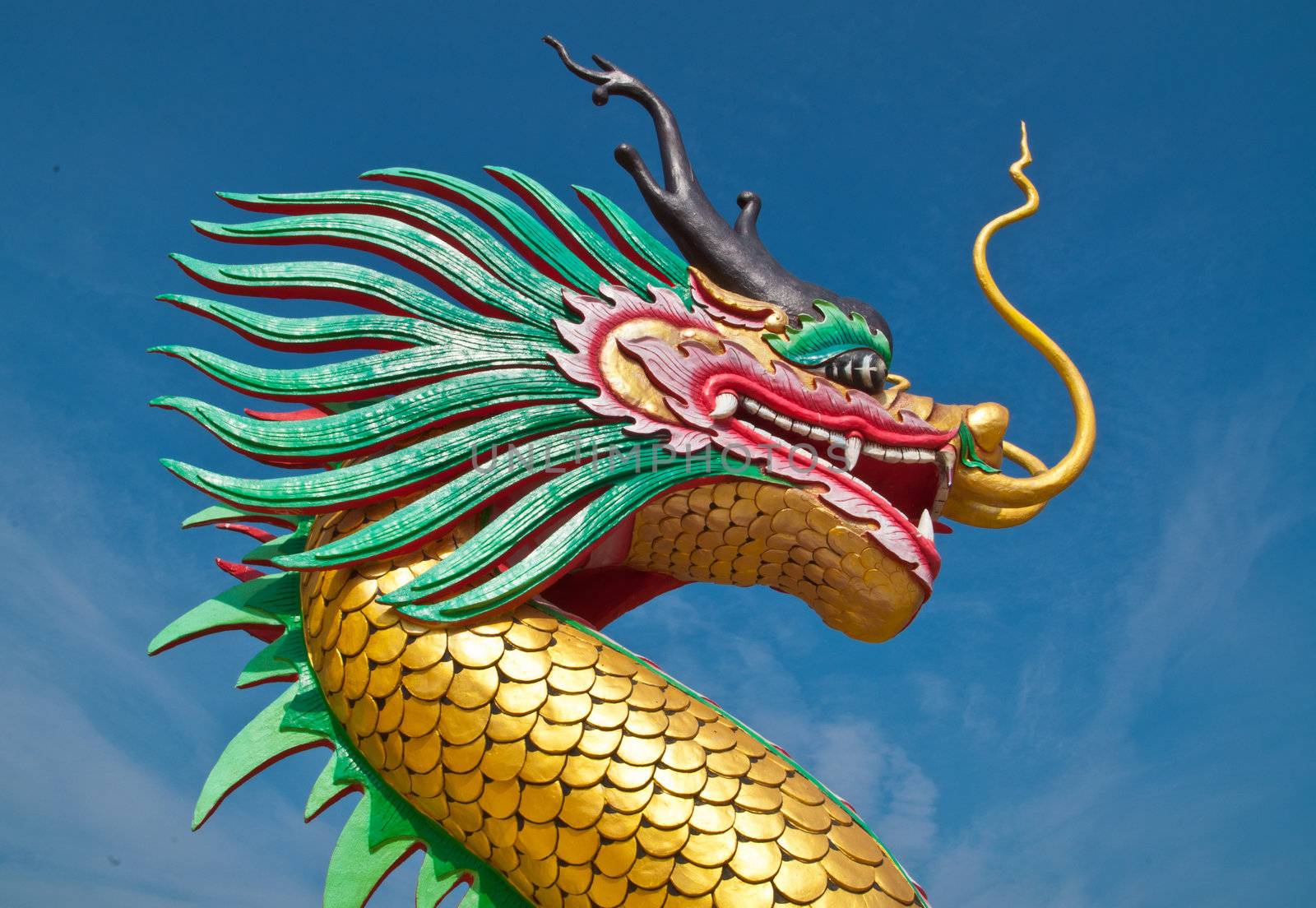 This is a head of dragon on blue sky background