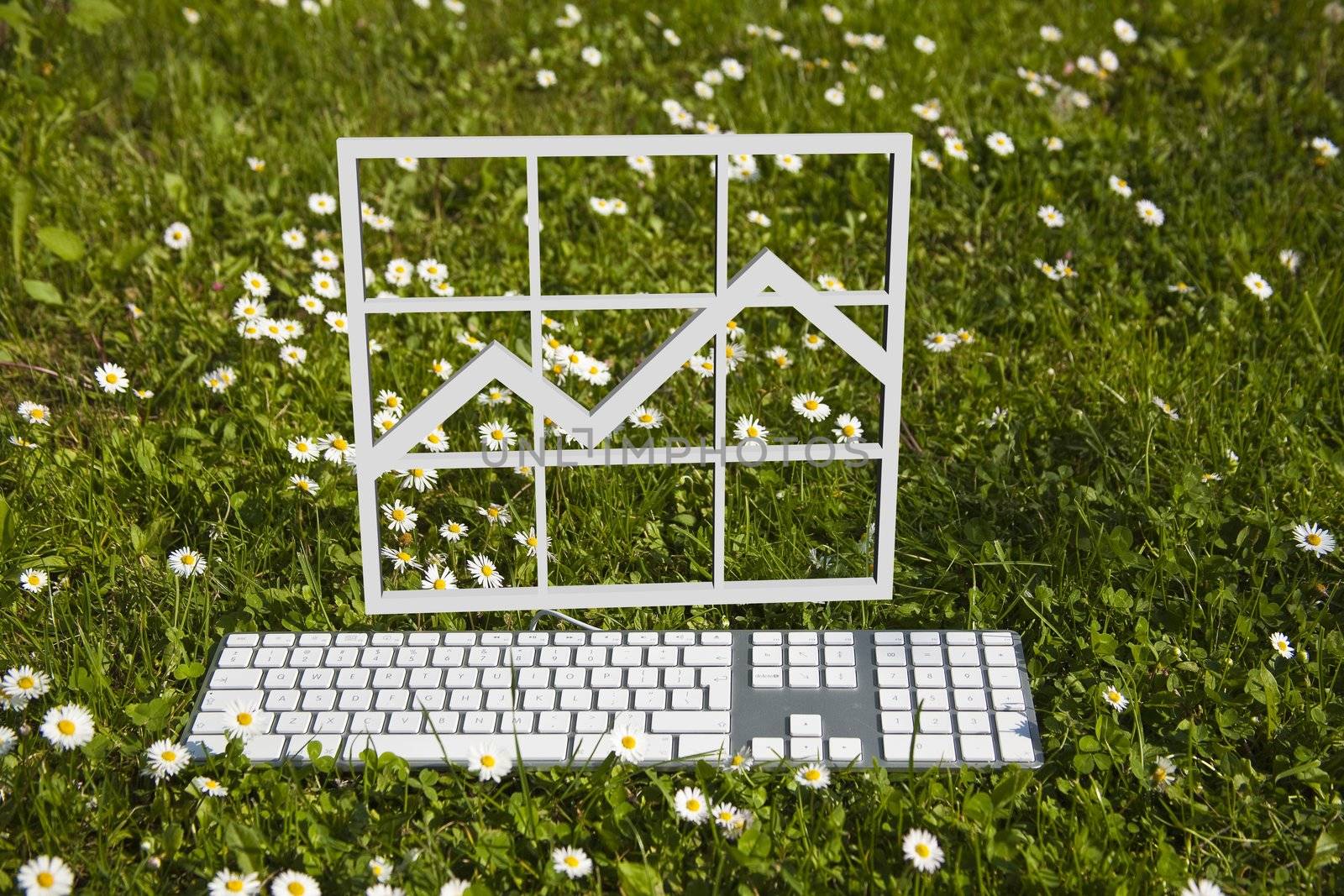 Finance chart diagram and modern keyboard on green grass in garden