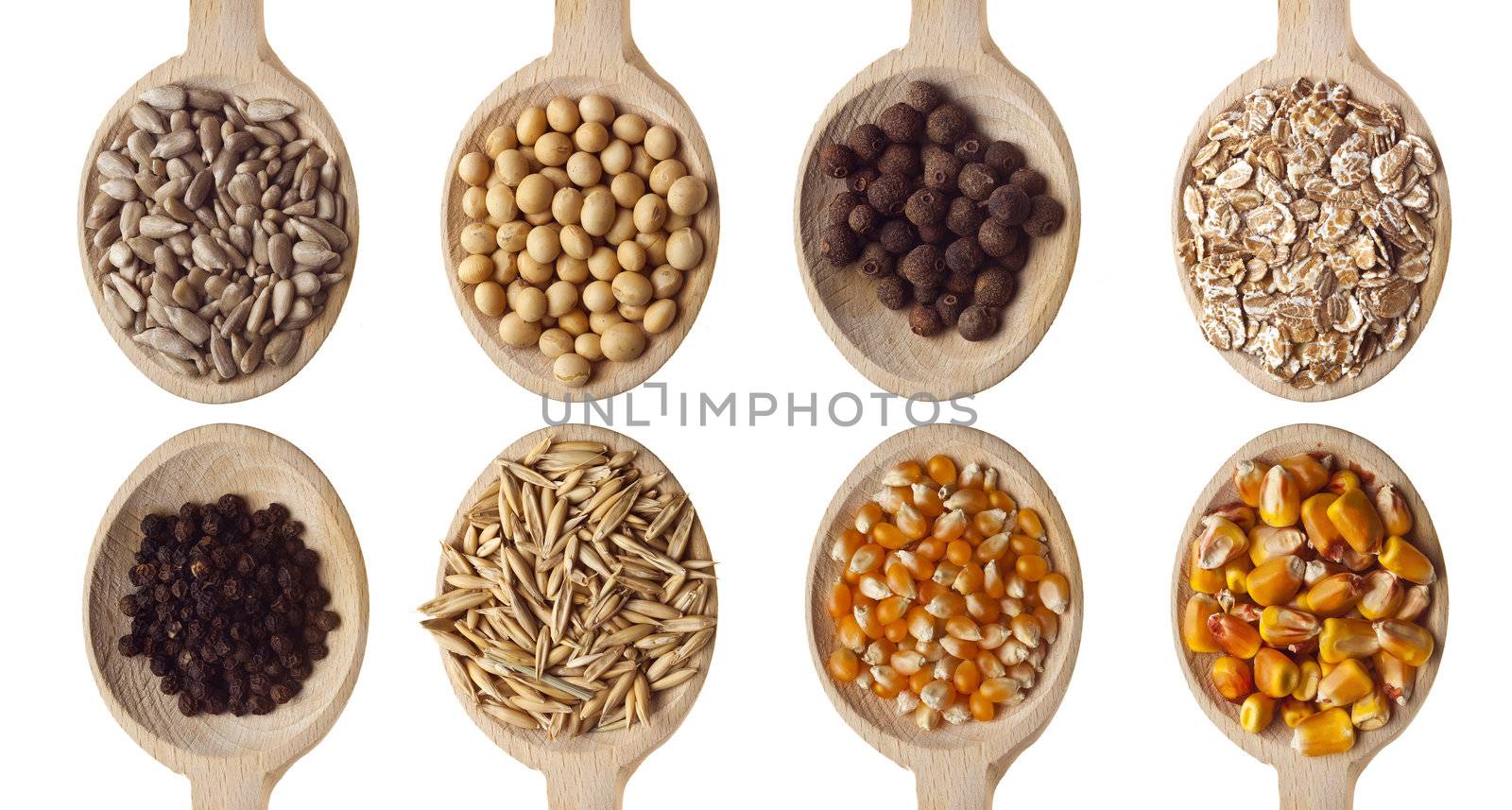 Different type of seeds on wooden spoon