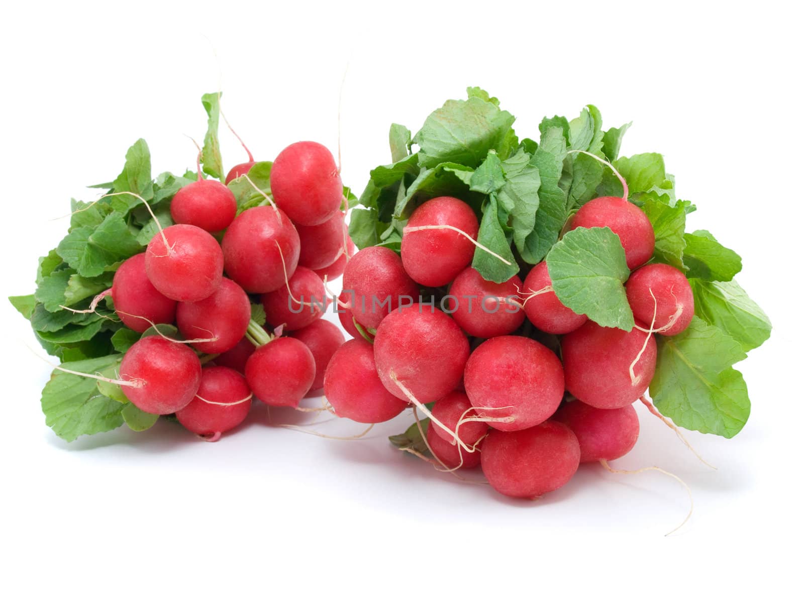 two bunch of radishes  
