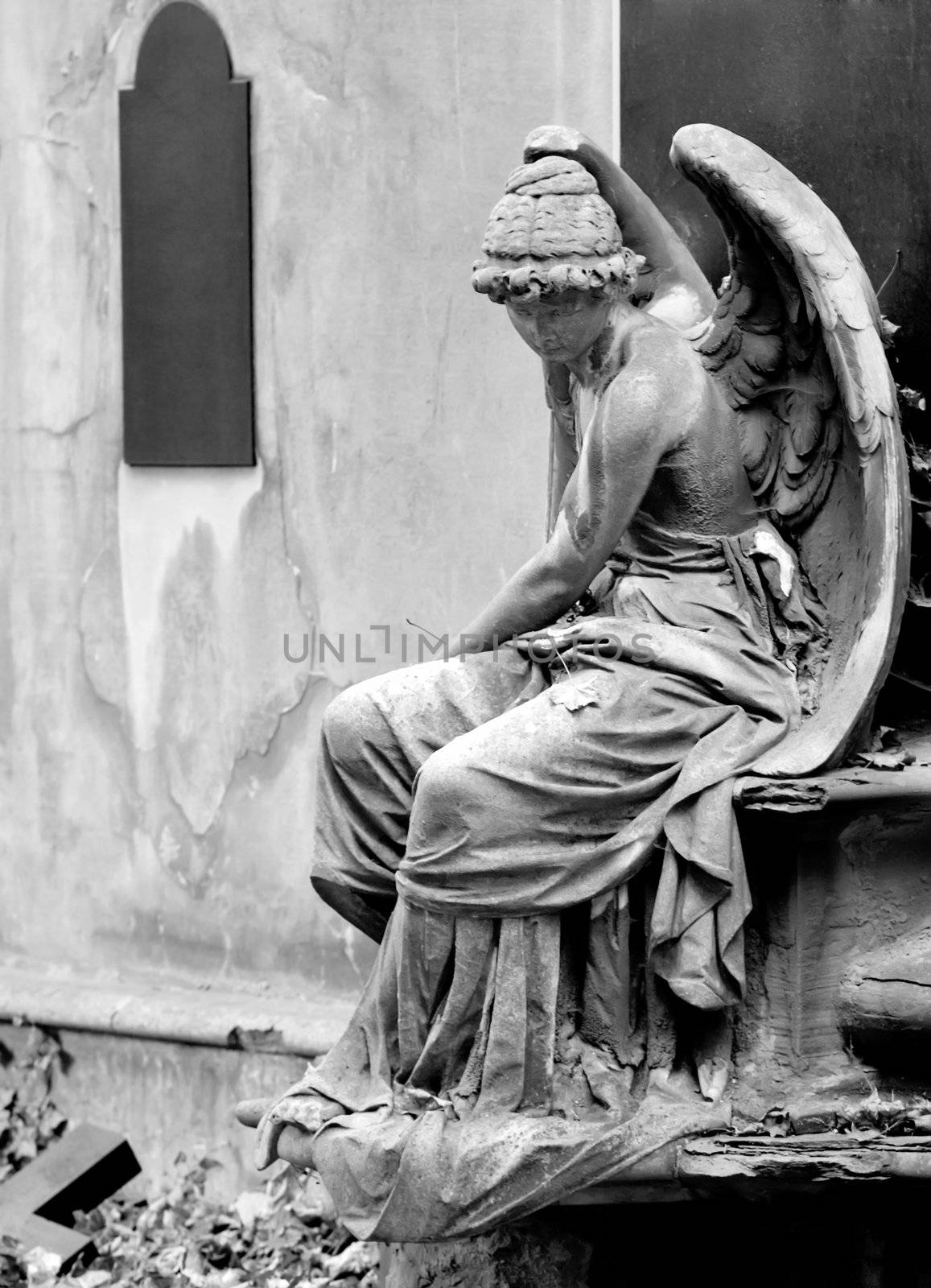 angel statue by motorolka