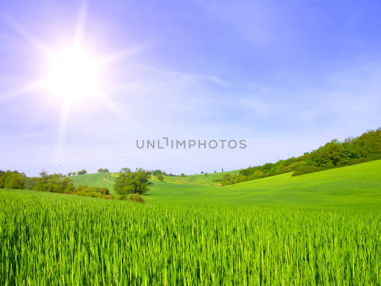 green field on blue sky