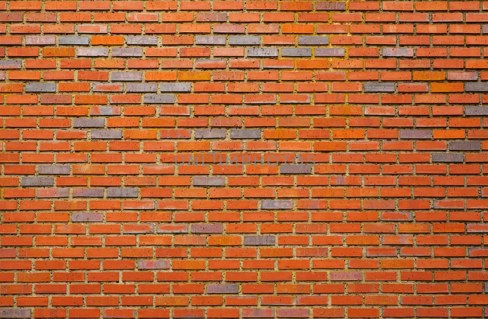Black and Red brick wall by bobkeenan