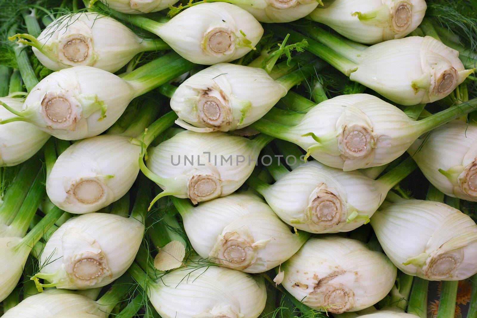 Pile of Fennel at the farmers market