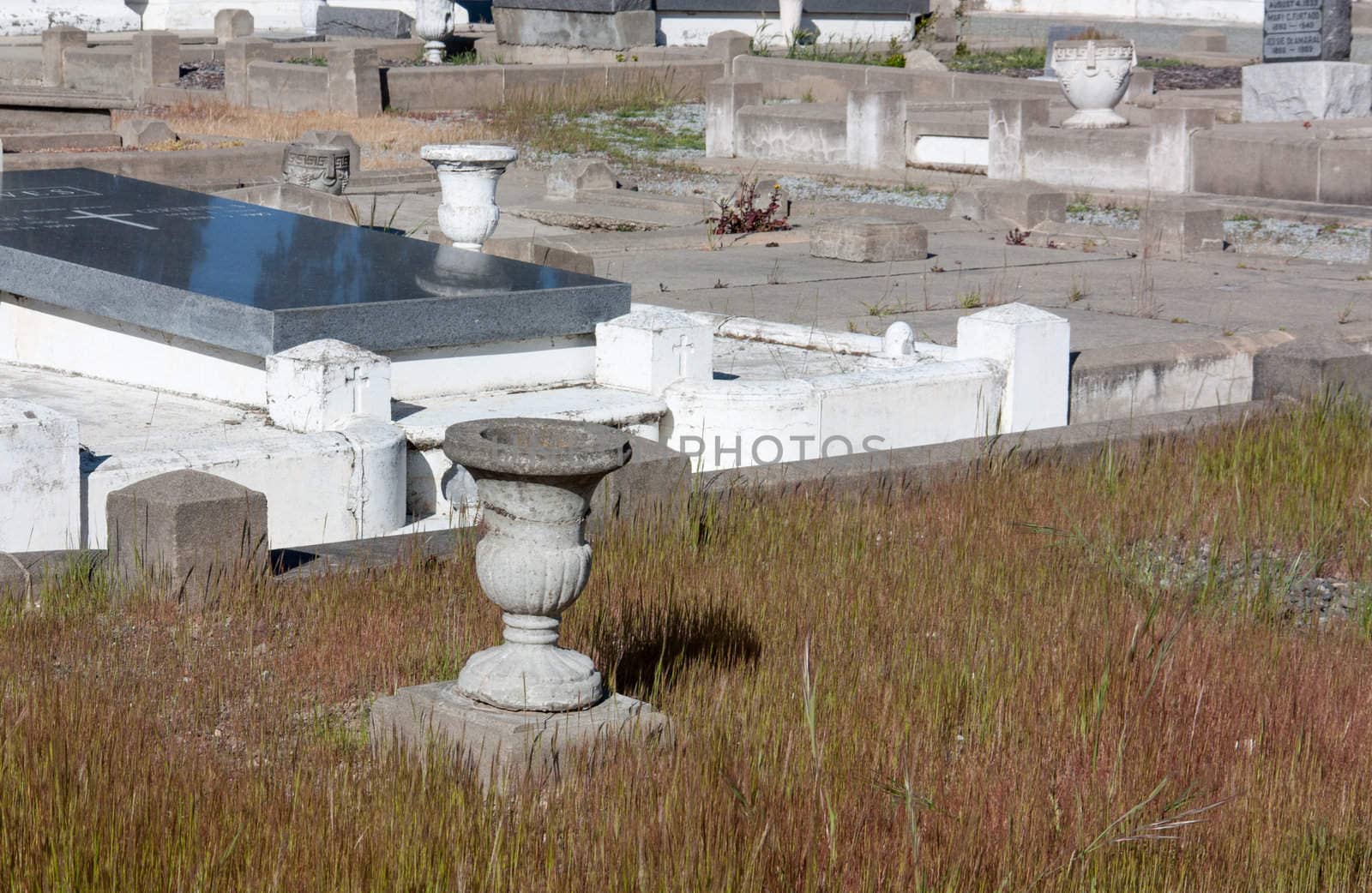 Grave Markers at San Carlos Cemetery.