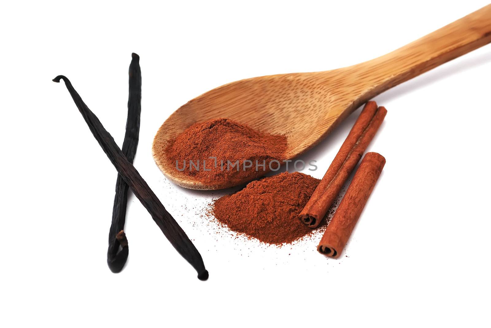 spices. cinnamon and vanilla on a white background