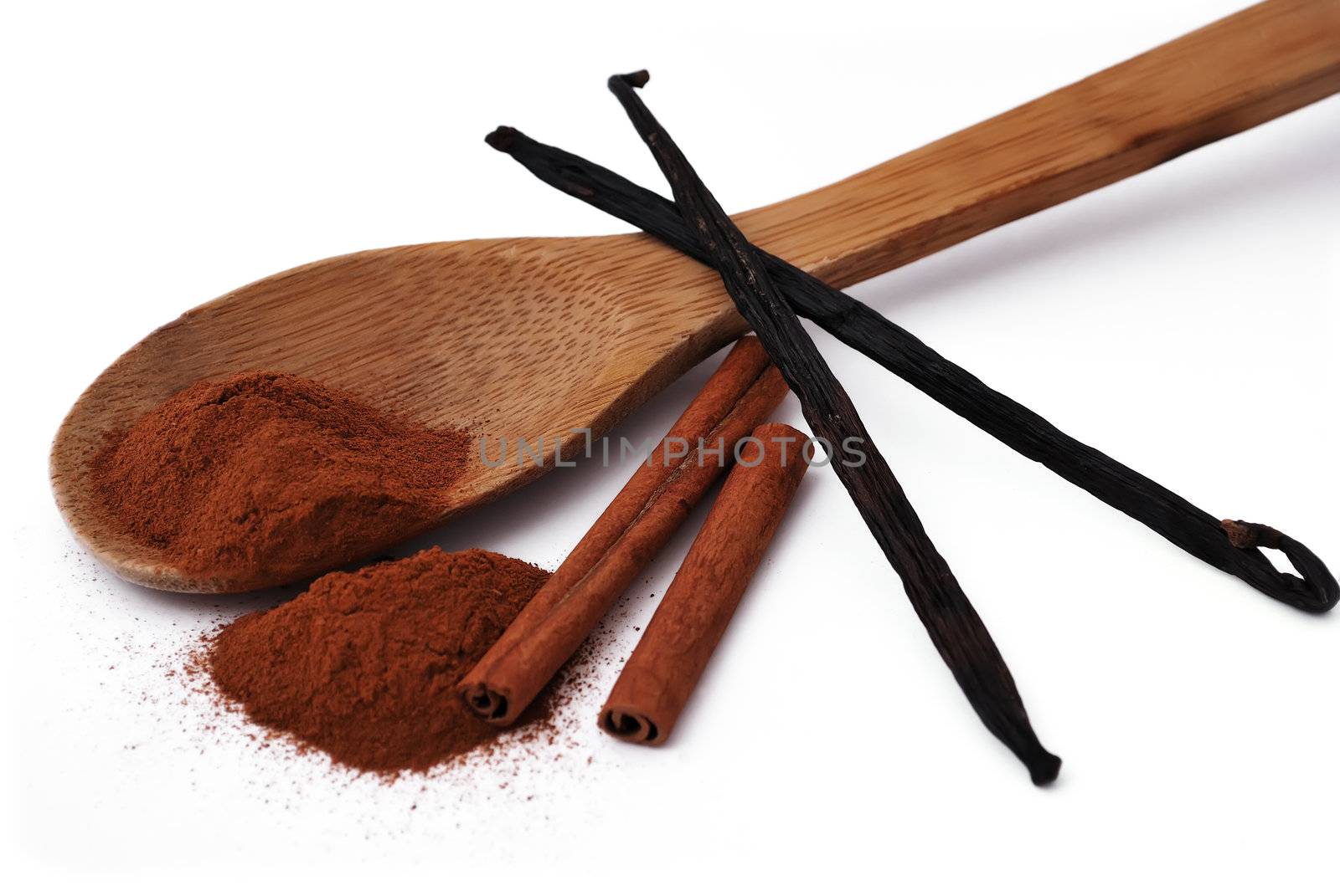 spices. cinnamon and vanilla on a white background