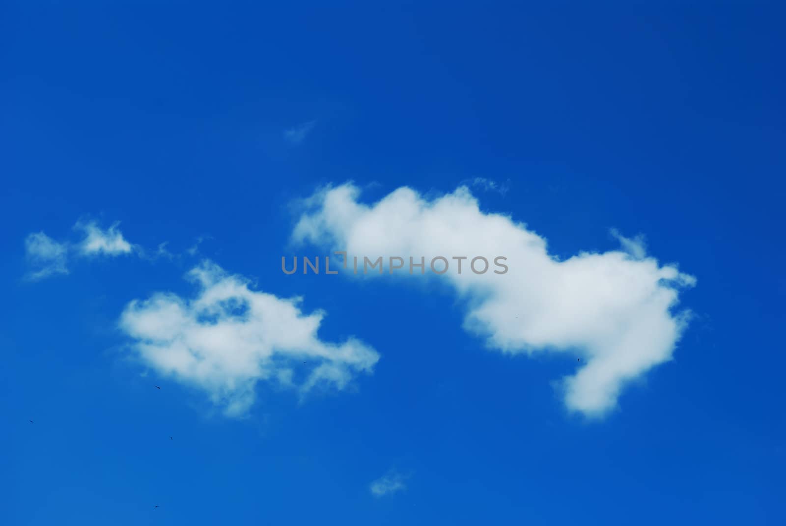 A white cloud in the blue sky