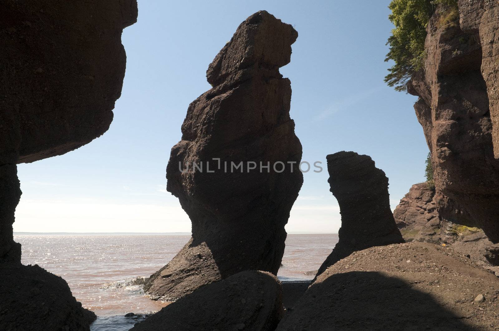 Rock formations on the Bay of Fundy shoreline at Hopewell Rocks, New Brunswick