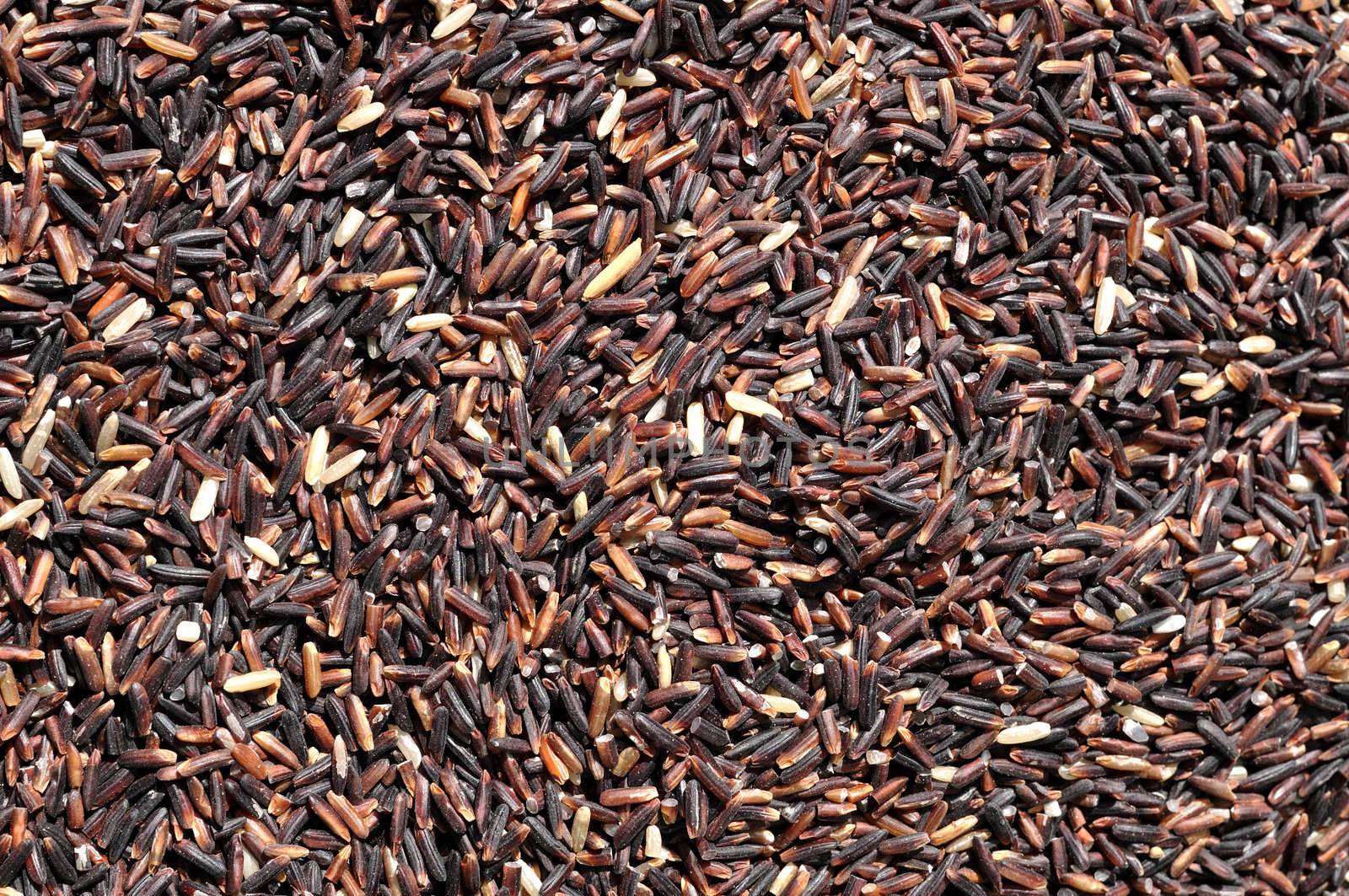 Rice Berry contains three times more iron than other varieties. And not only does it contain a high level of antioxidants such as beta-carotene, gamma oryzanol, vitamin E, and folic acid (folate) in itself, but it becomes soft and is aromatic when cooked, which is the outstanding trait of Thai Hom. Mali Rice.