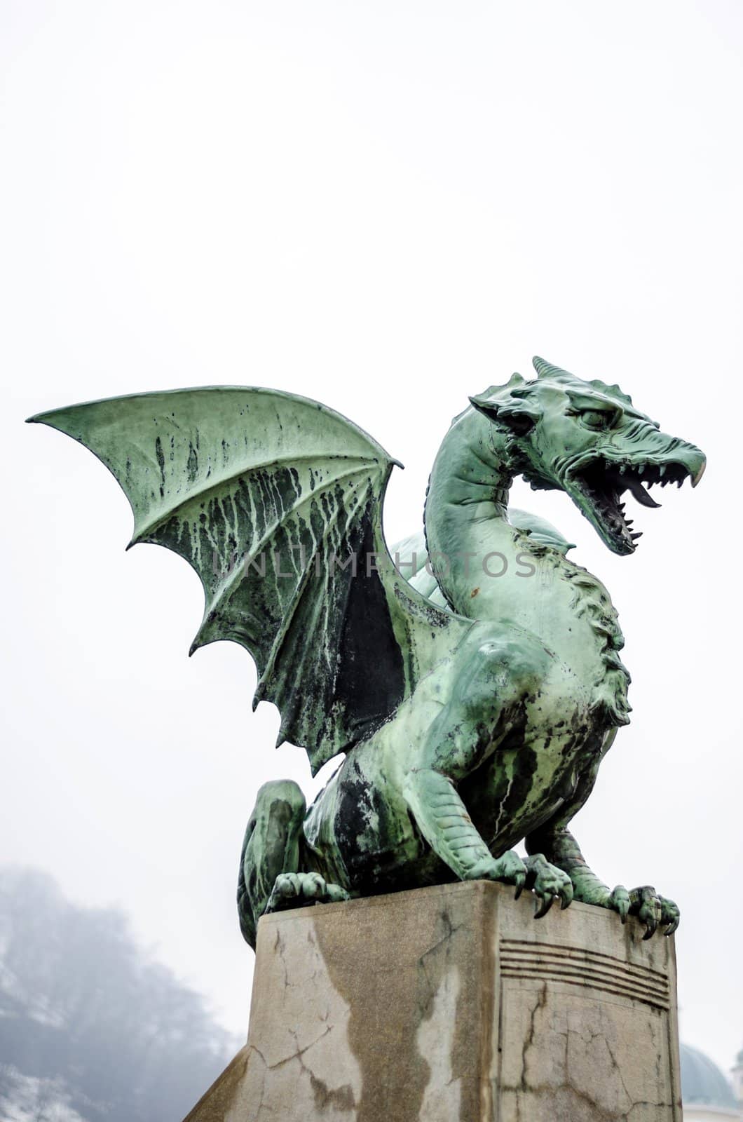 Green dragon of Ljubljana isolated on white background.