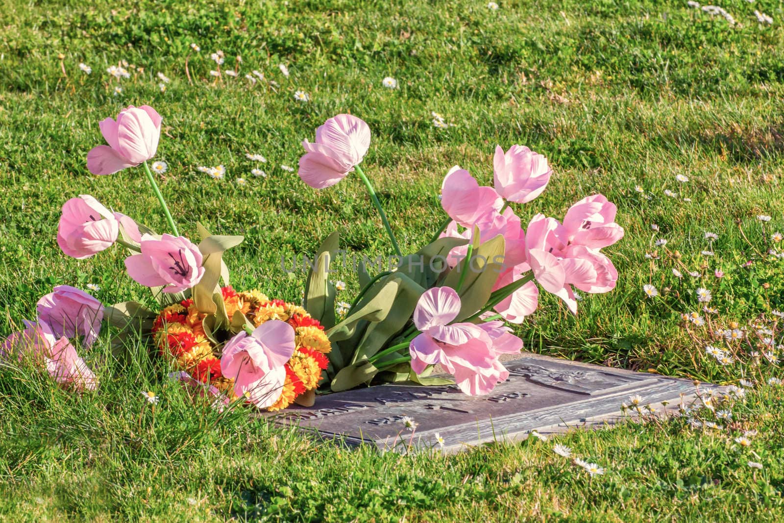 Flowers on Grave Markerr at San Carlos Cemetery.