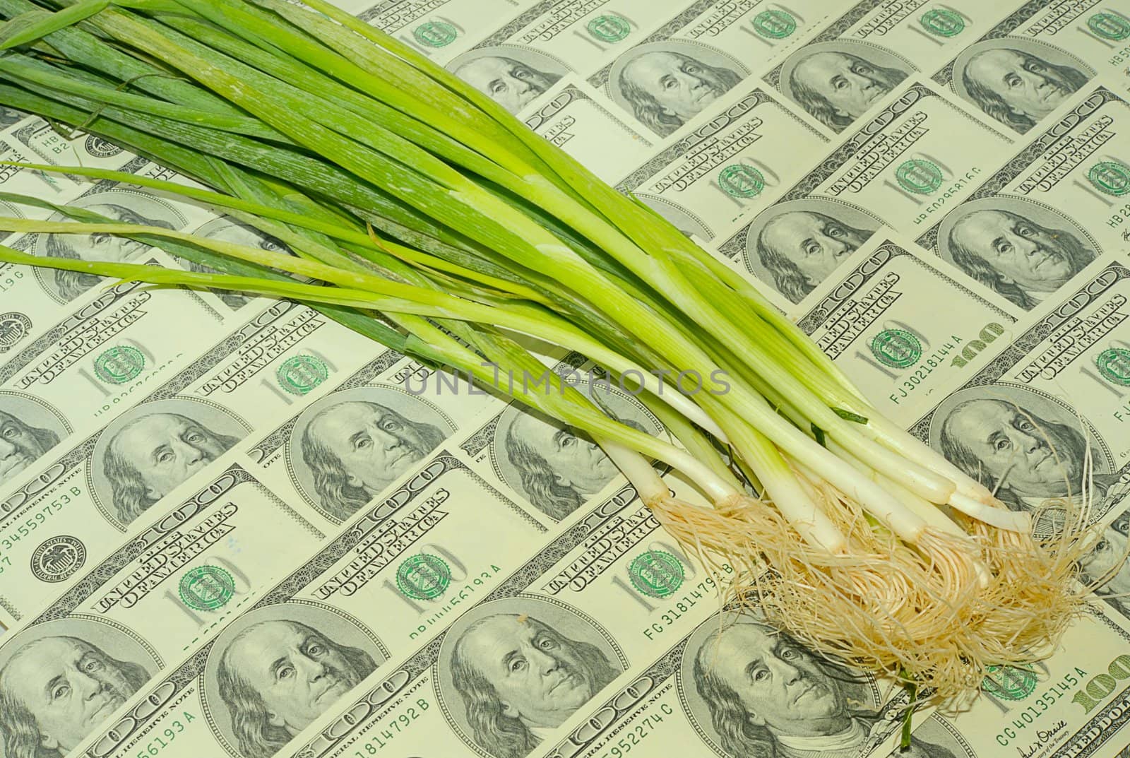 Spring Onions On The One Hundred Dollar Bills Background.